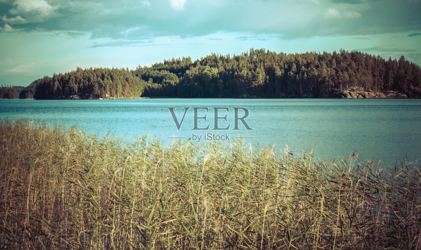 复古色调的湖泊和森林在芬兰的形象照片摄影图片