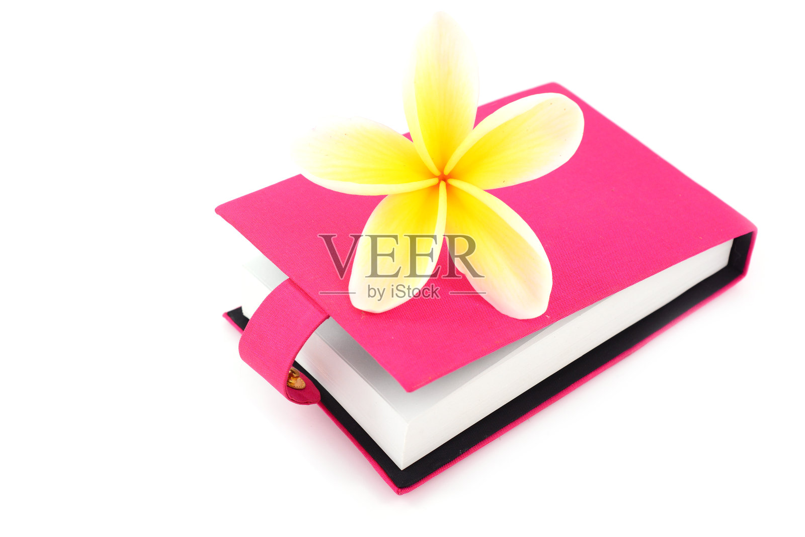 空白的笔记本和花照片摄影图片