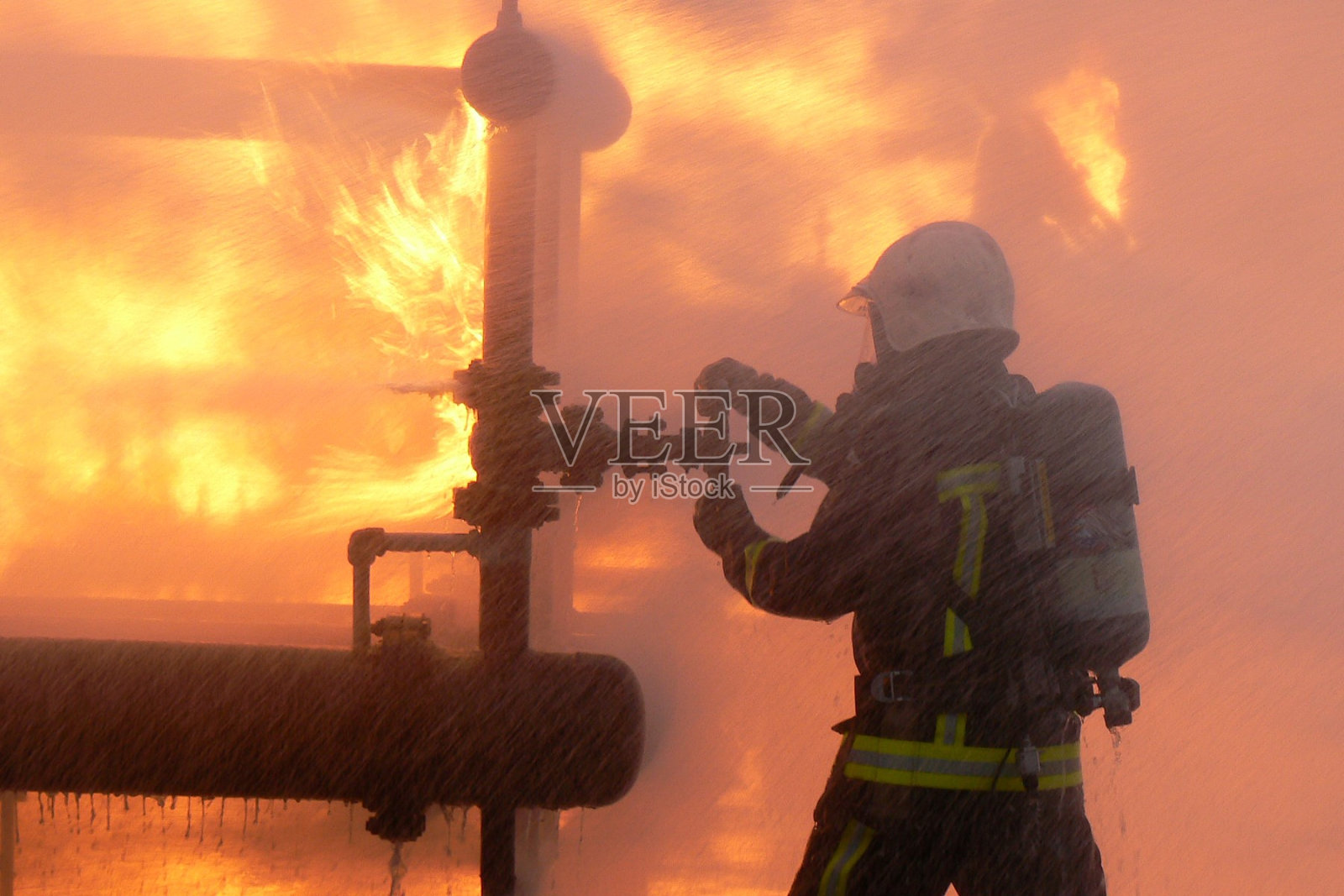 橙色照片摄影图片