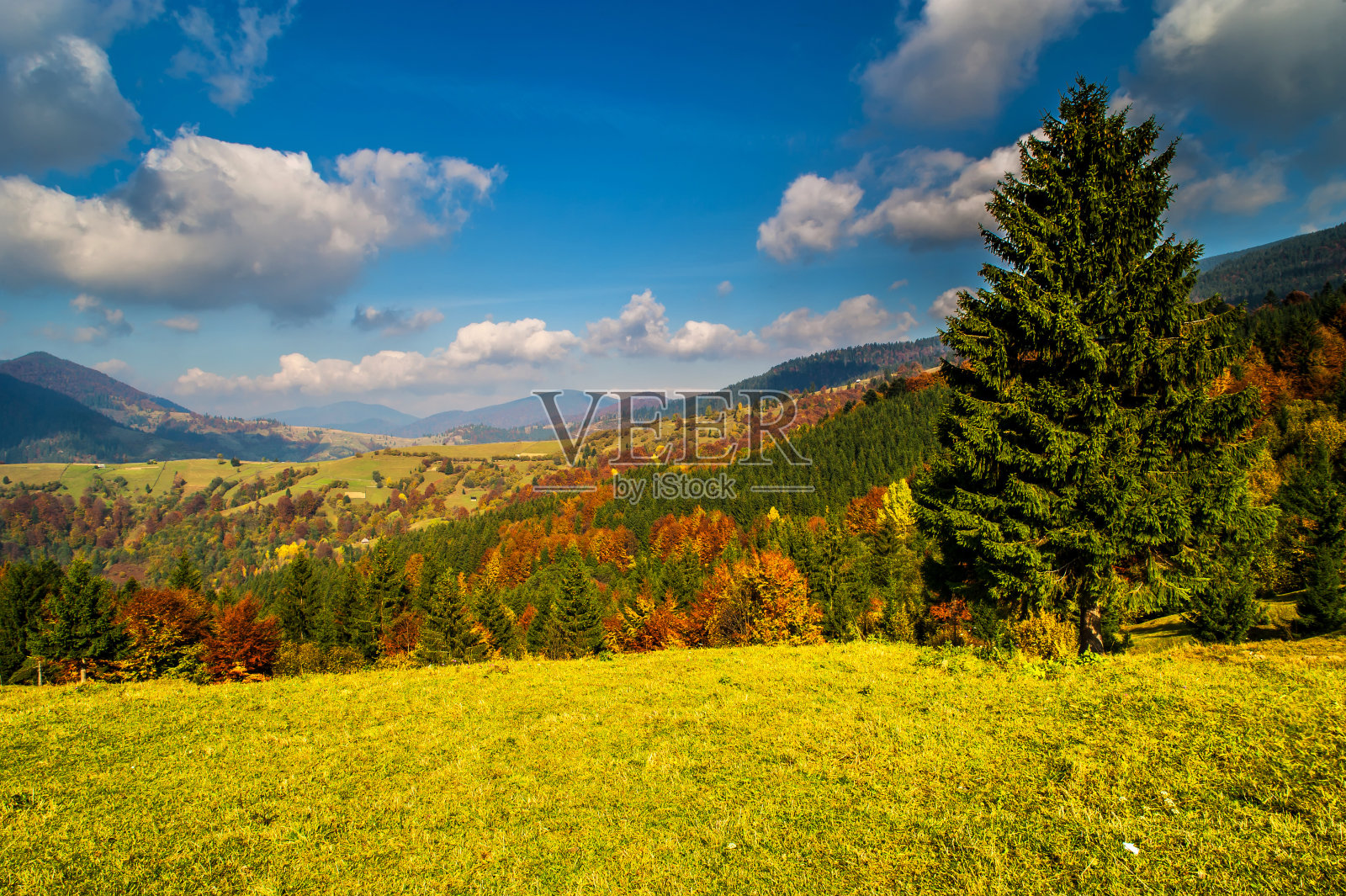 秋天的风景照片摄影图片