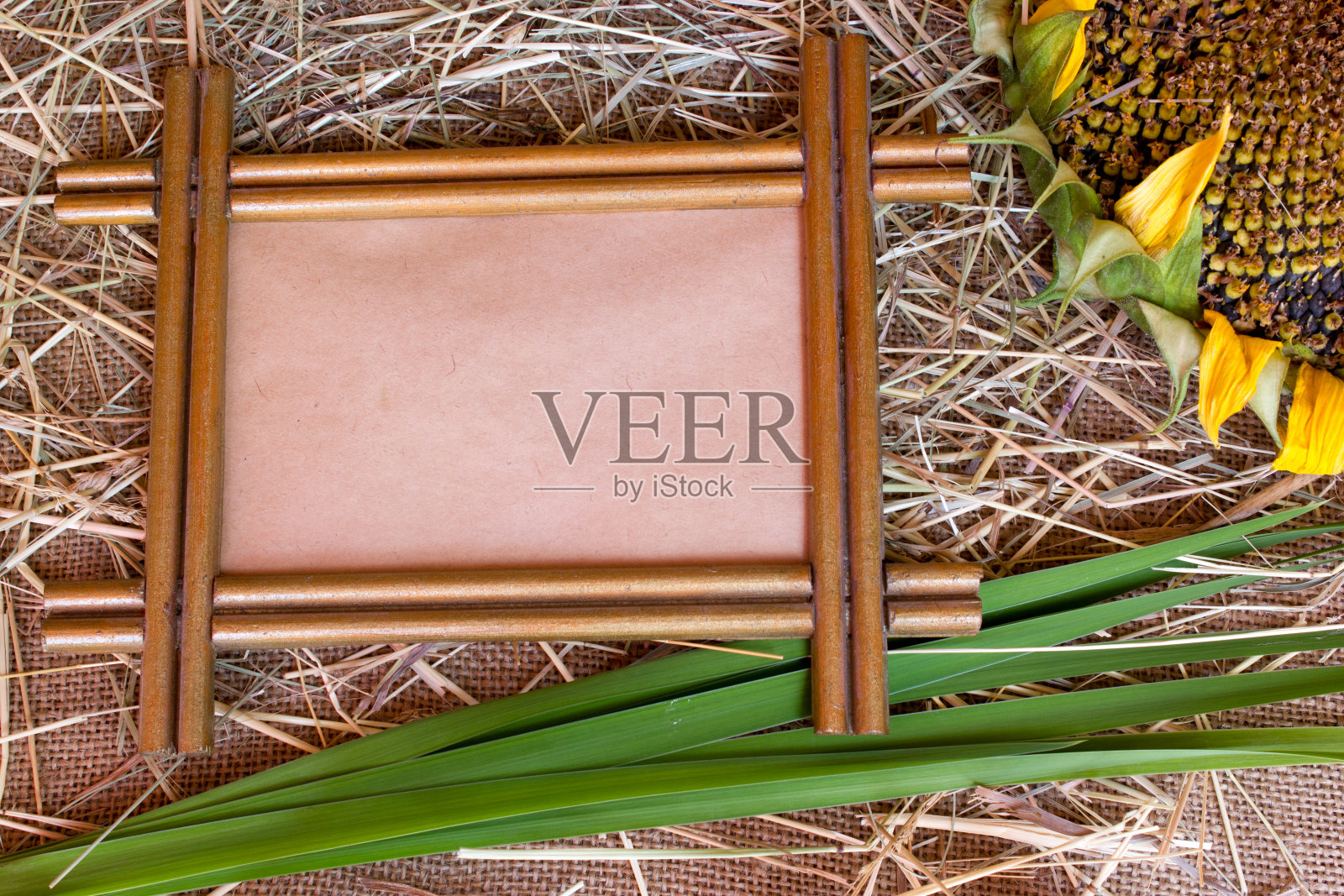 麦草,种子,葵花籽在粗麻布上照片摄影图片