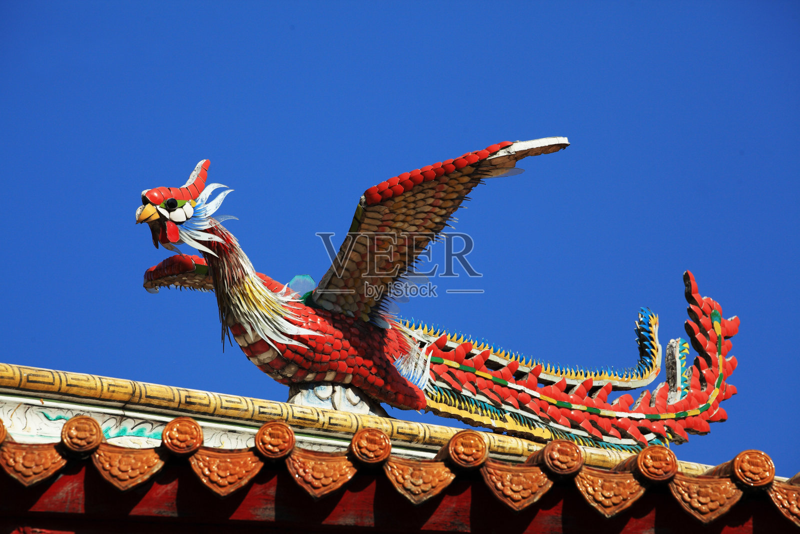 寺庙屋顶上的中国天鹅。照片摄影图片