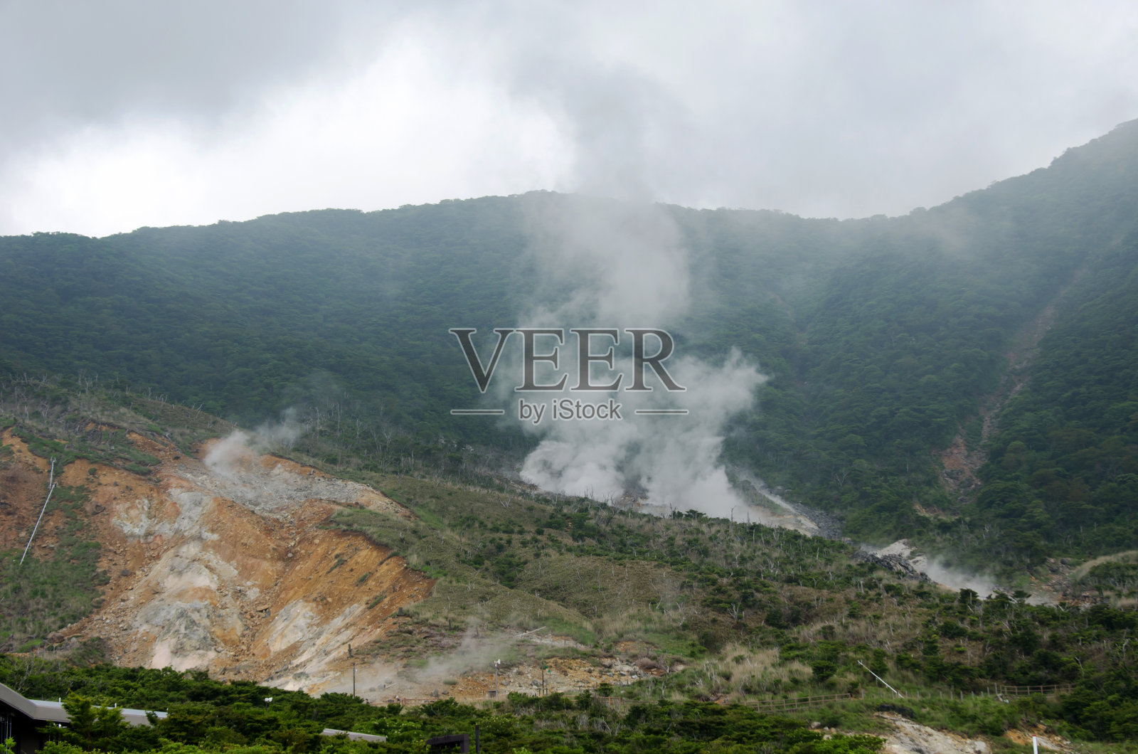 箱根照片摄影图片