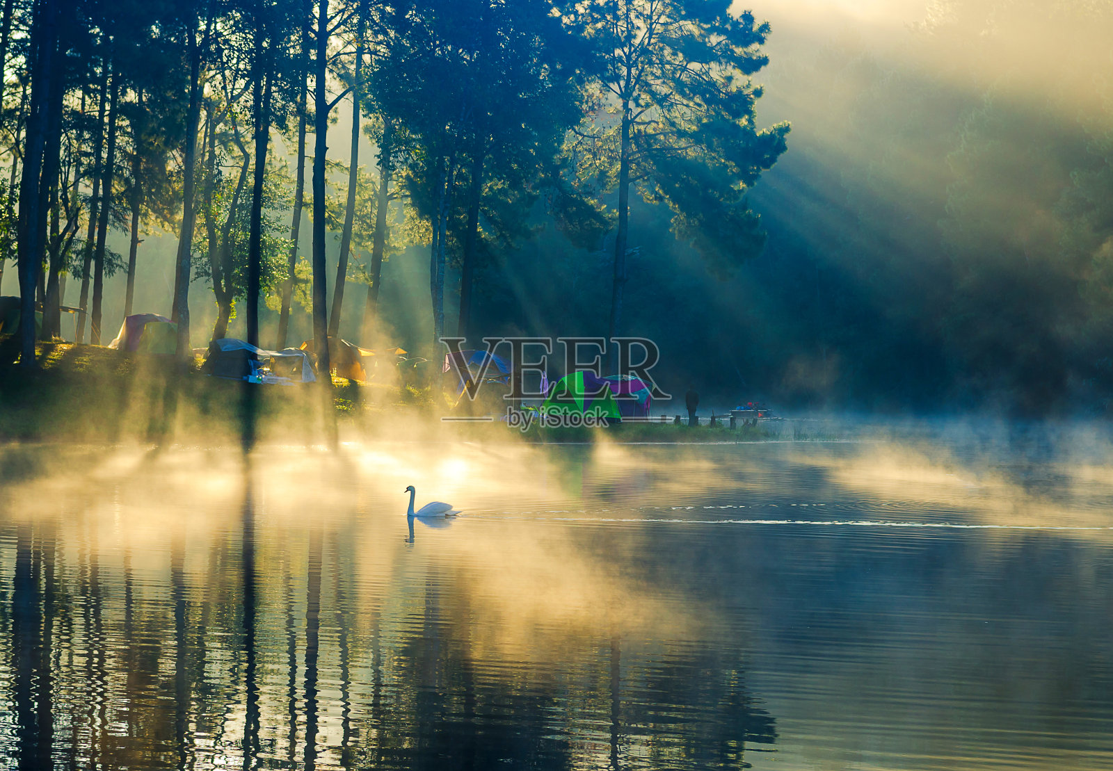 庞昂,泰国是一名游客照片摄影图片