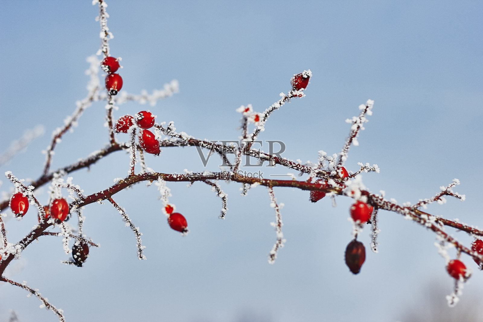 冬天的风景照片摄影图片