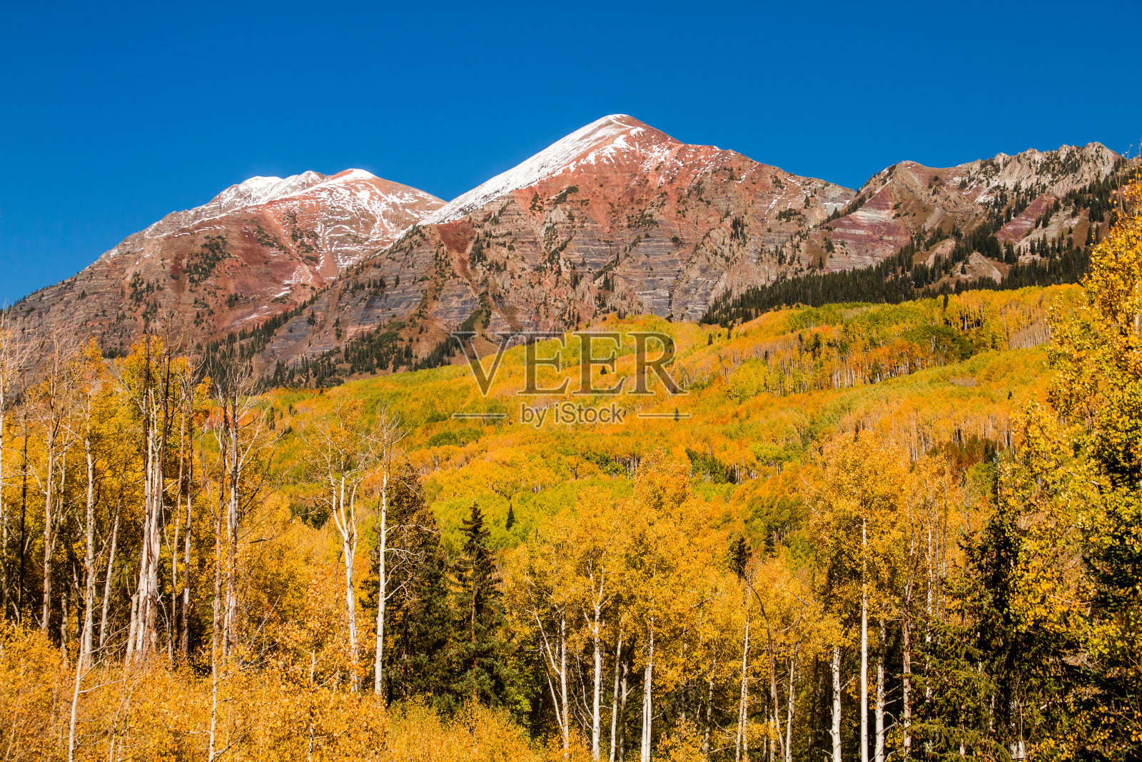 秋天的颜色在Crested Butte科罗拉多州照片摄影图片