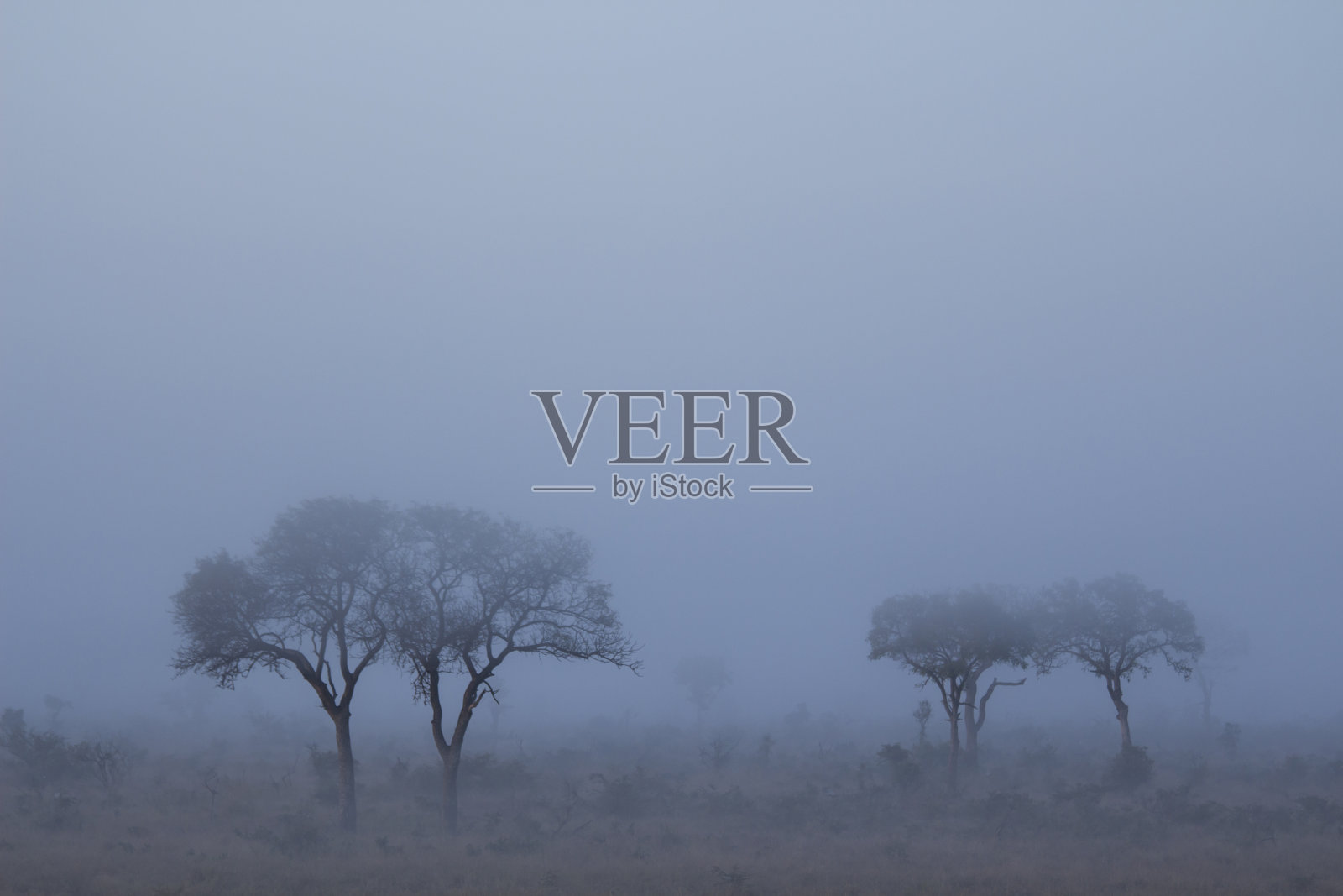 可怕的雾照片摄影图片