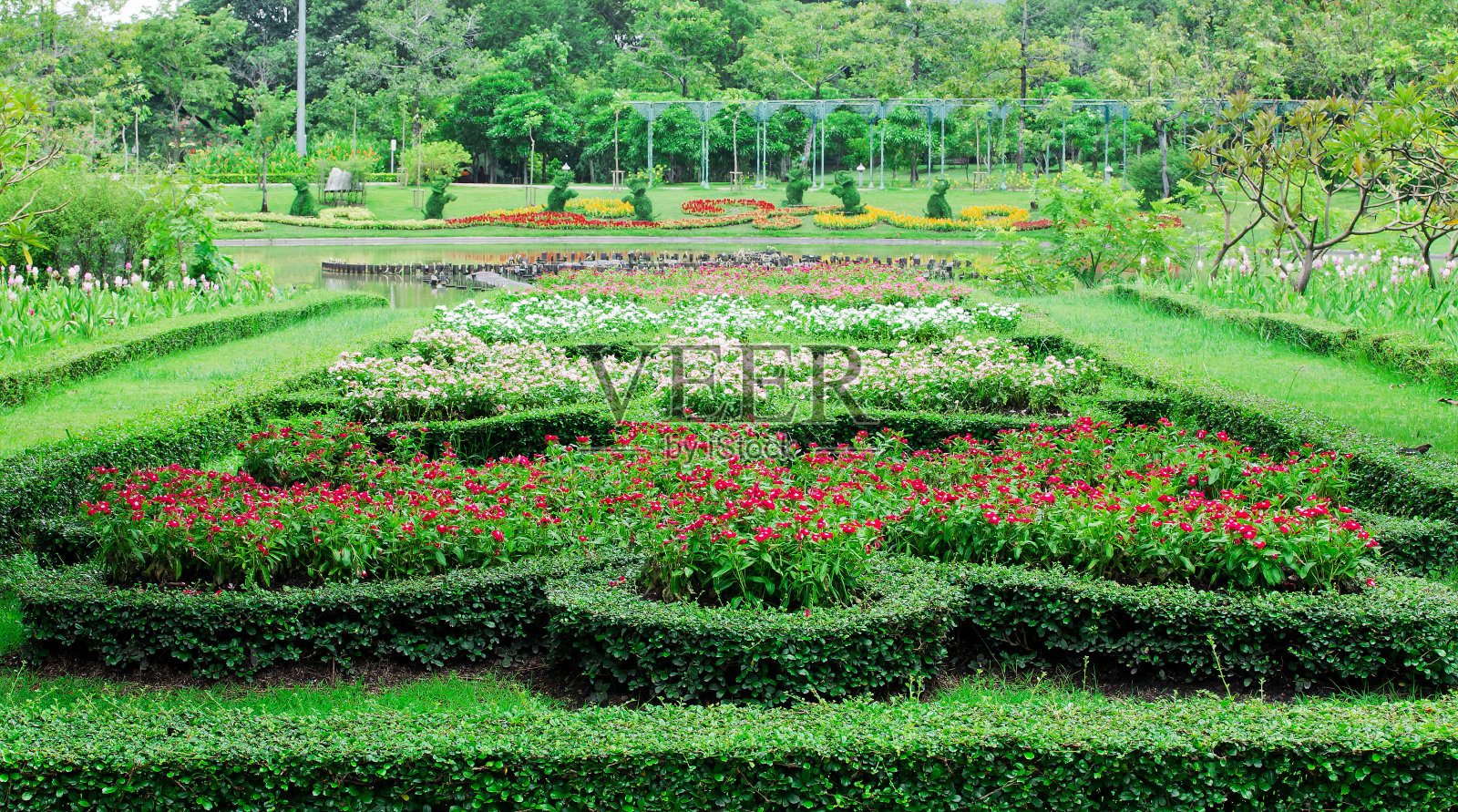 五彩缤纷的花园照片摄影图片