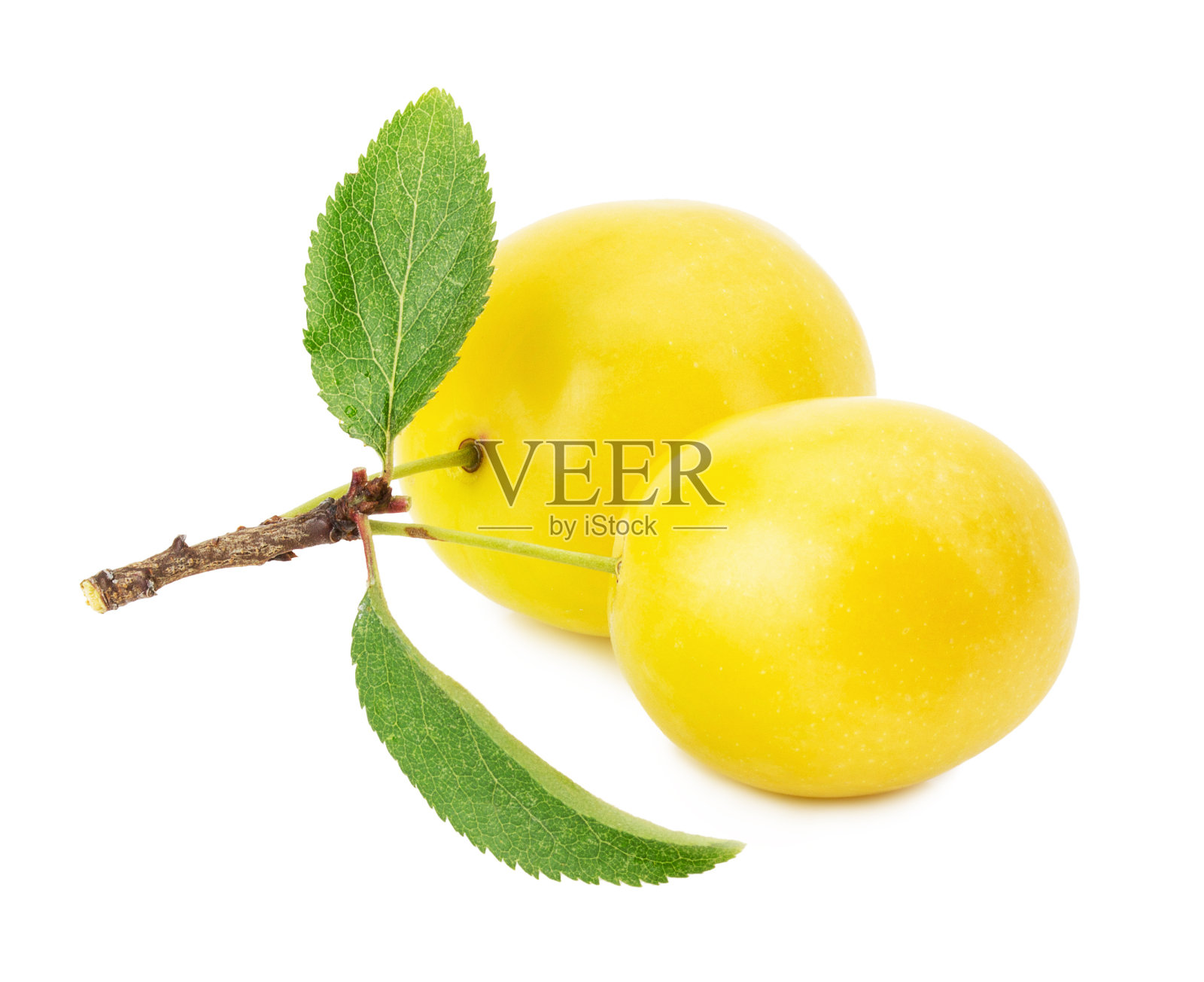 白色背景上孤立的黄色樱桃李子照片摄影图片