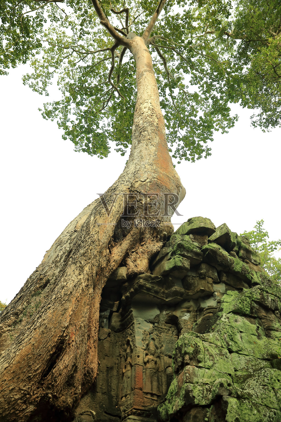 塔普罗姆-安科尔照片摄影图片