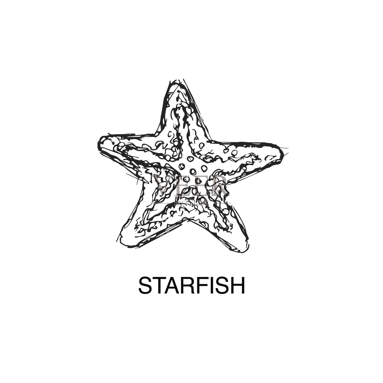 海星向量设计元素图片