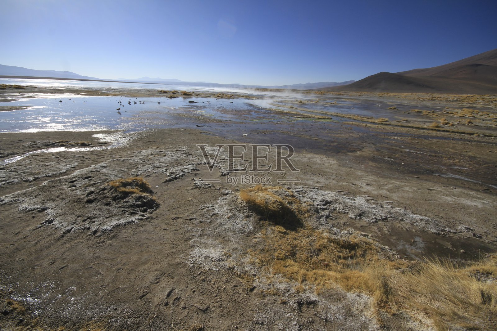 爱德华多·阿尔韦罗亚,乌尤尼·玻利维亚照片摄影图片