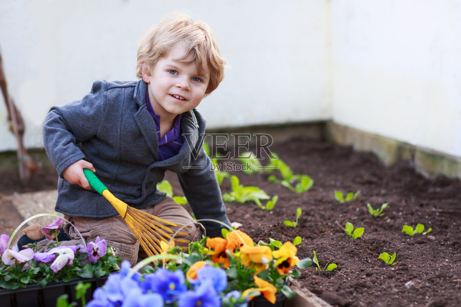小男孩在花园里种花照片摄影图片