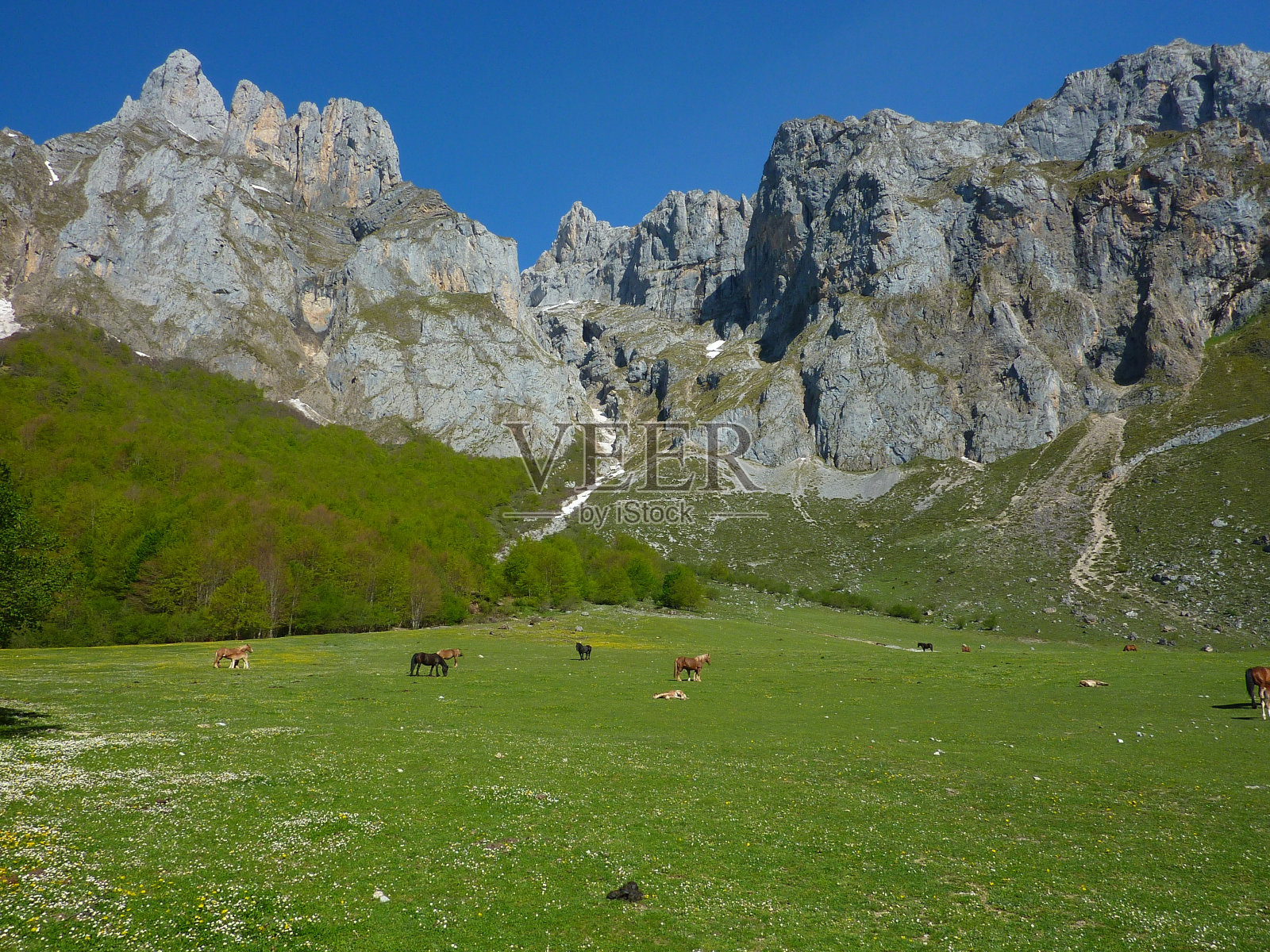 西班牙北部福恩特的全景图照片摄影图片