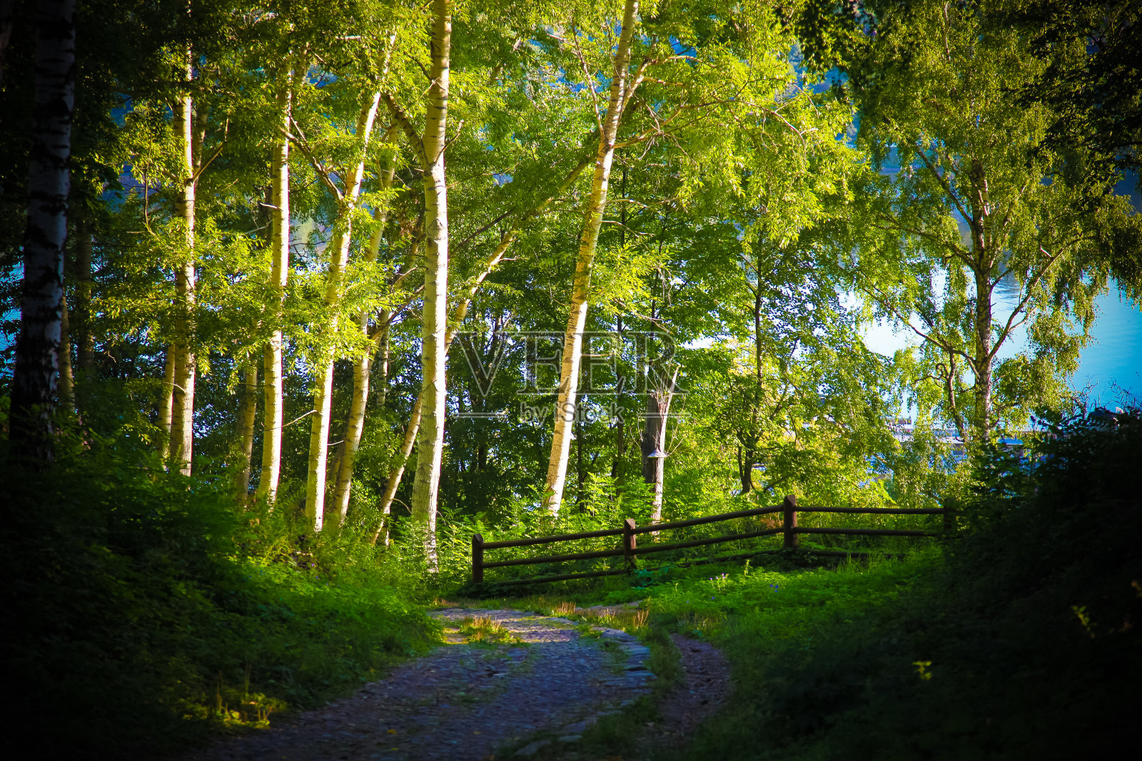 俄罗斯的小城市照片摄影图片