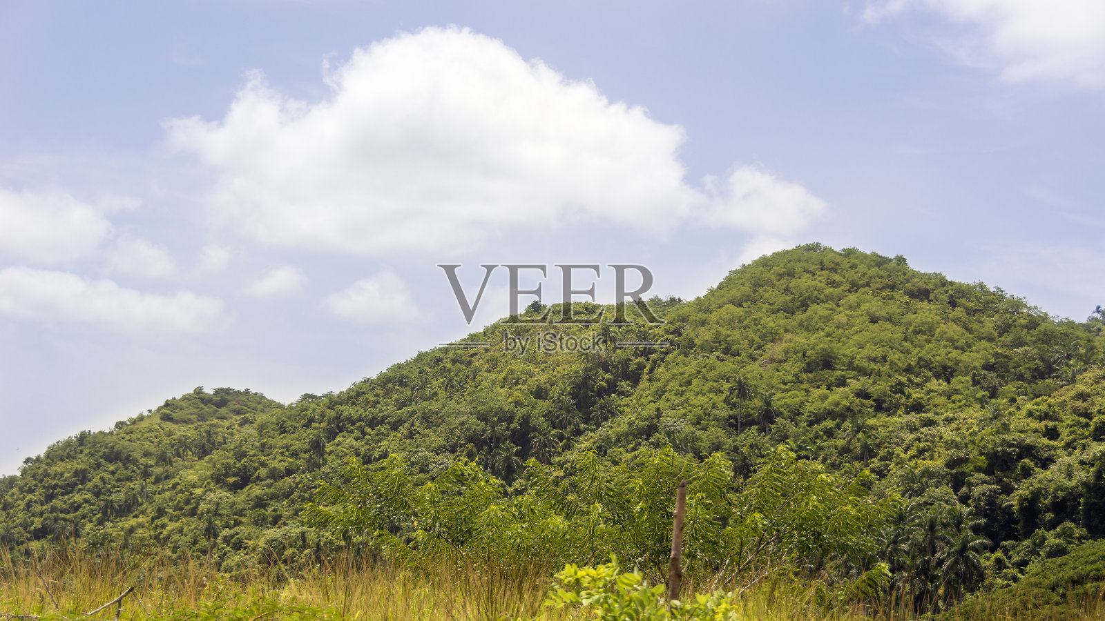 山脉的细节照片摄影图片