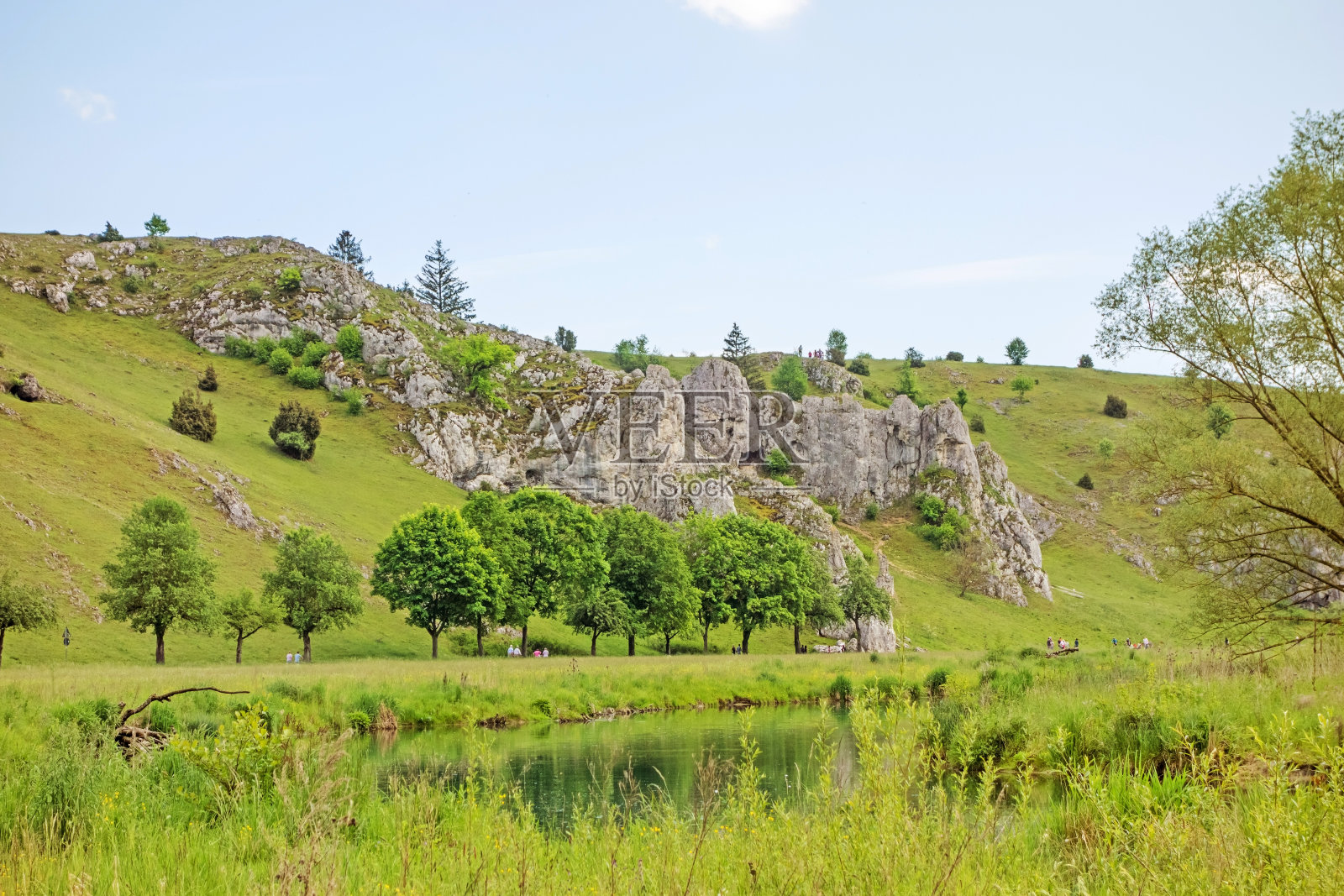 山谷Eselsburger塔尔-绿色草地照片摄影图片