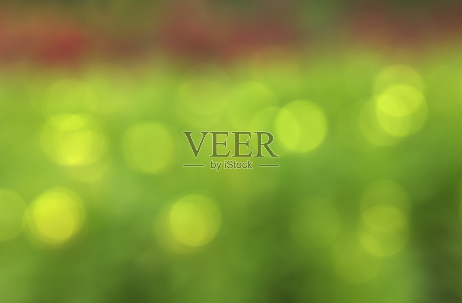 绿色的焦外成像背景照片摄影图片