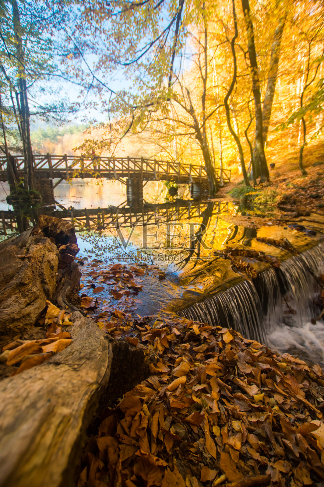 秋天的风景照片摄影图片