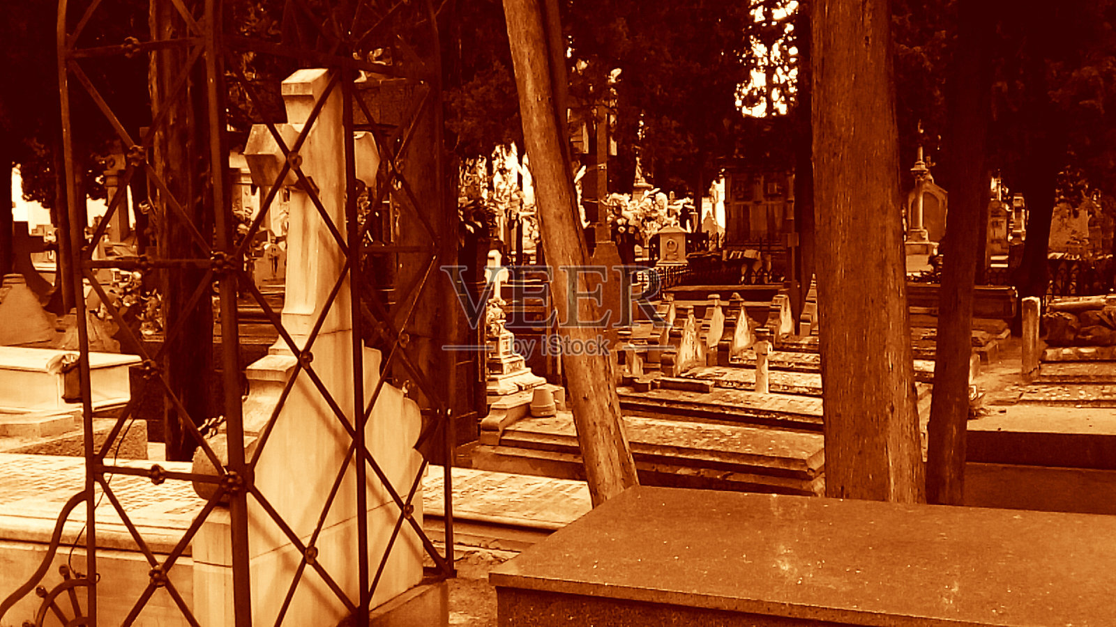 秋天的早晨墓地里的坟墓照片摄影图片