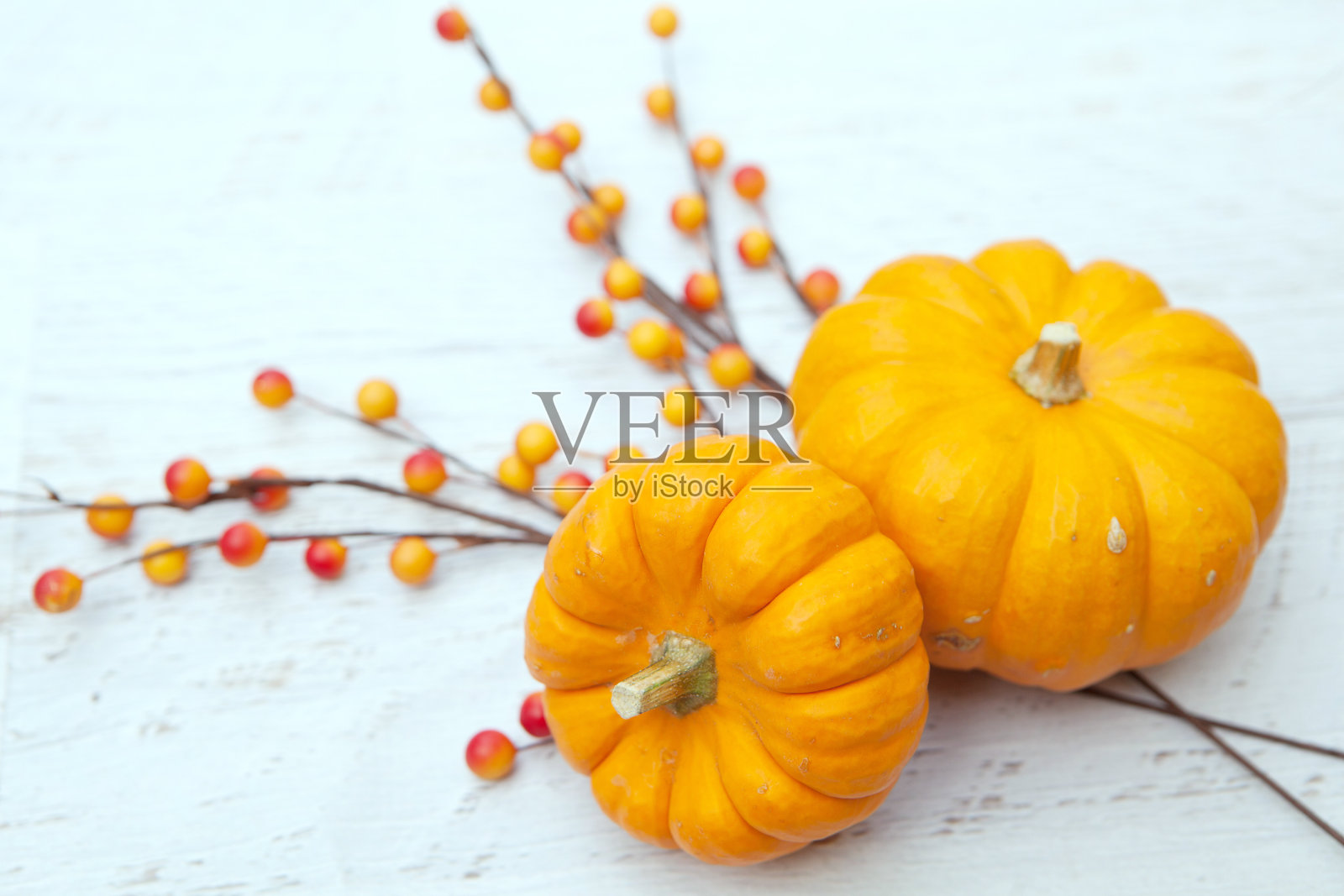 秋天感恩节背景照片摄影图片