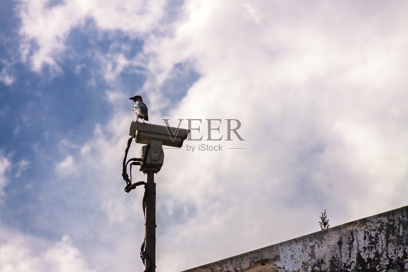 一切都在控制之下。照片摄影图片