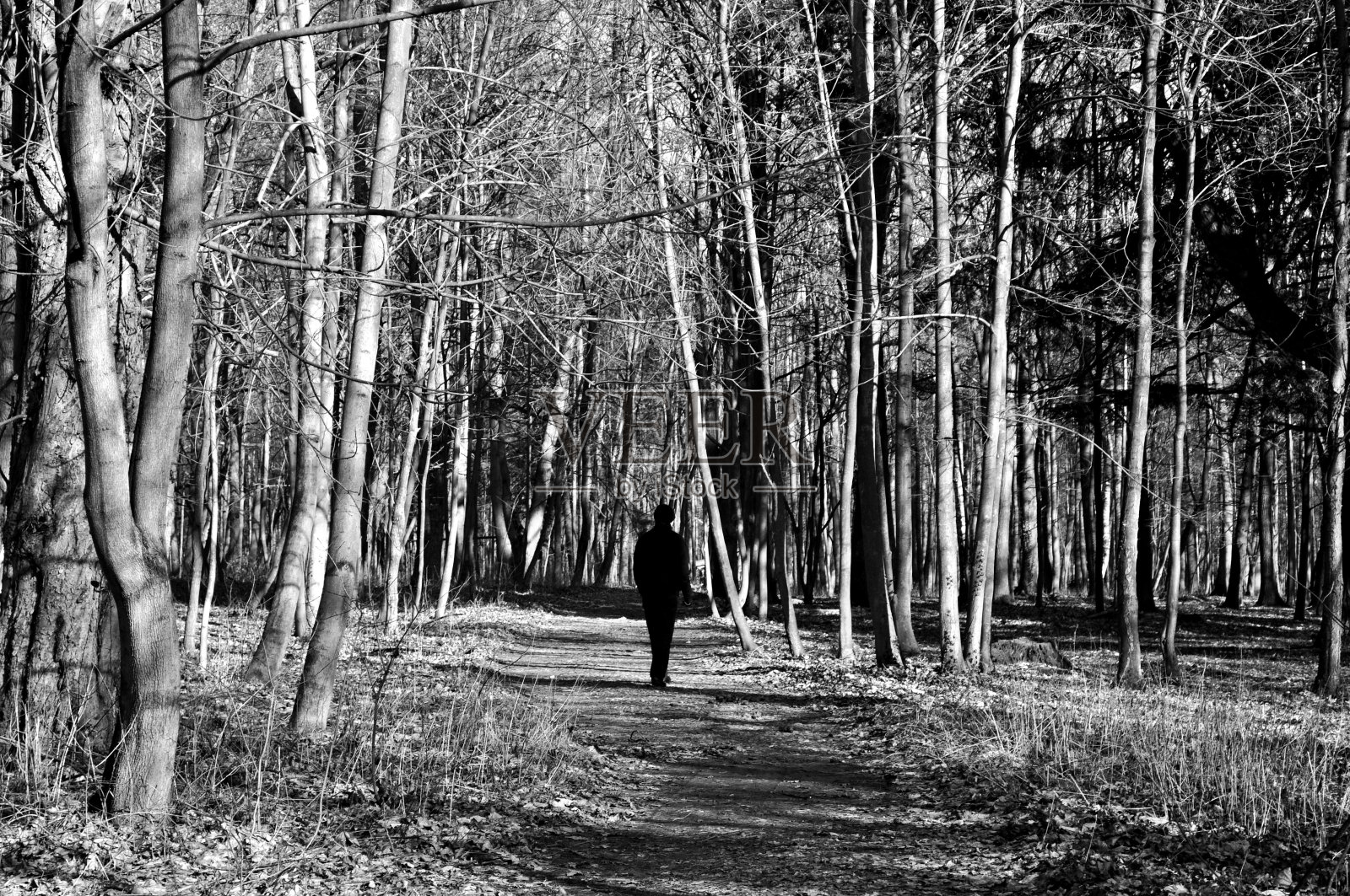 寂静之声照片摄影图片