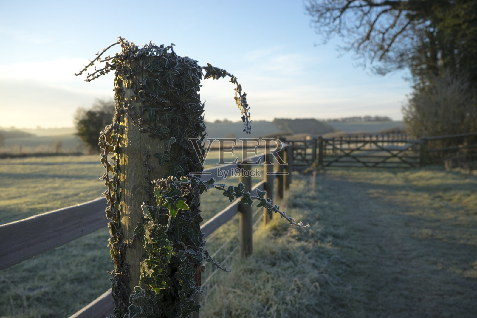 格洛斯特郡冻结照片摄影图片