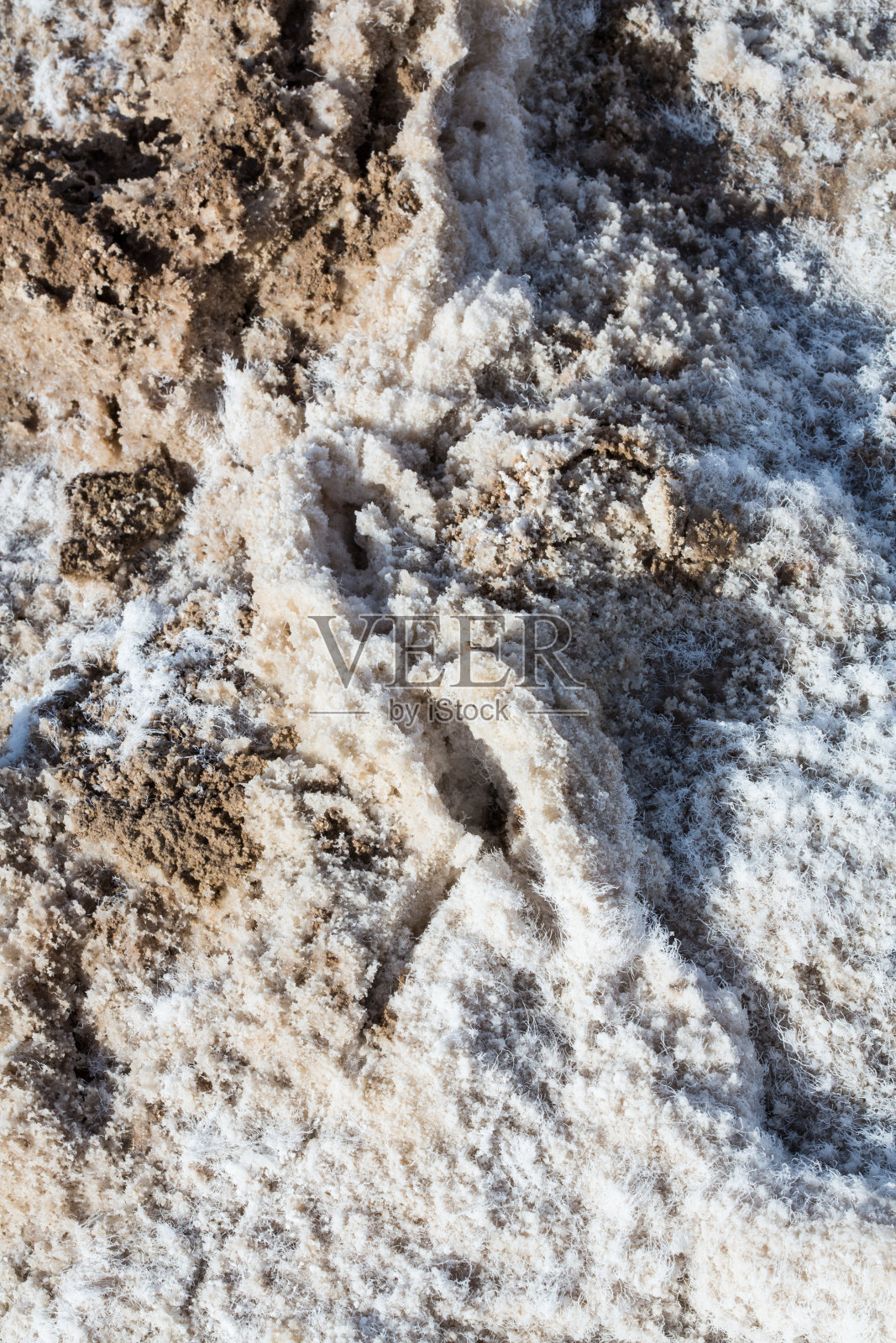 盐晶体照片摄影图片