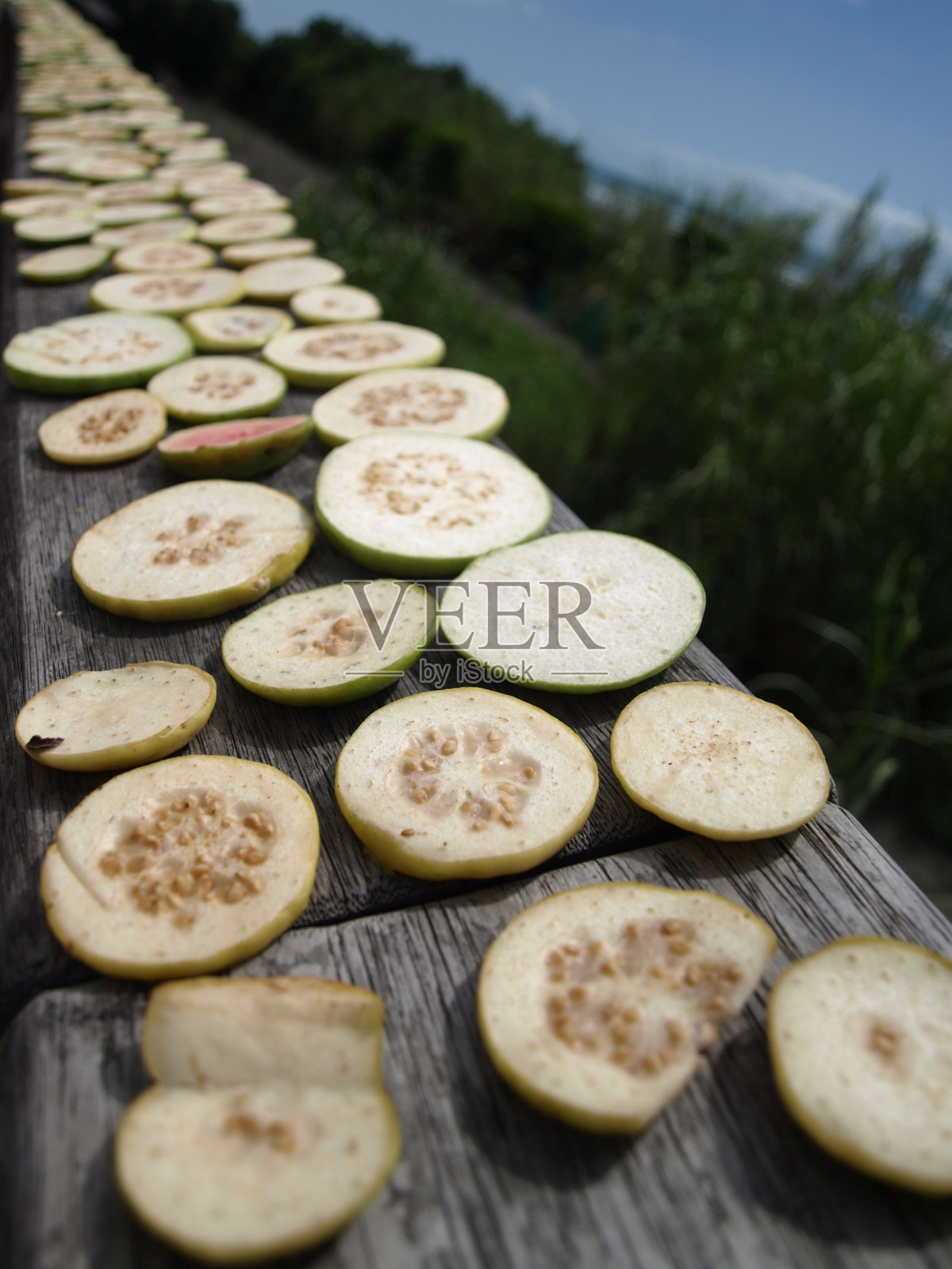 干燥番石榴照片摄影图片