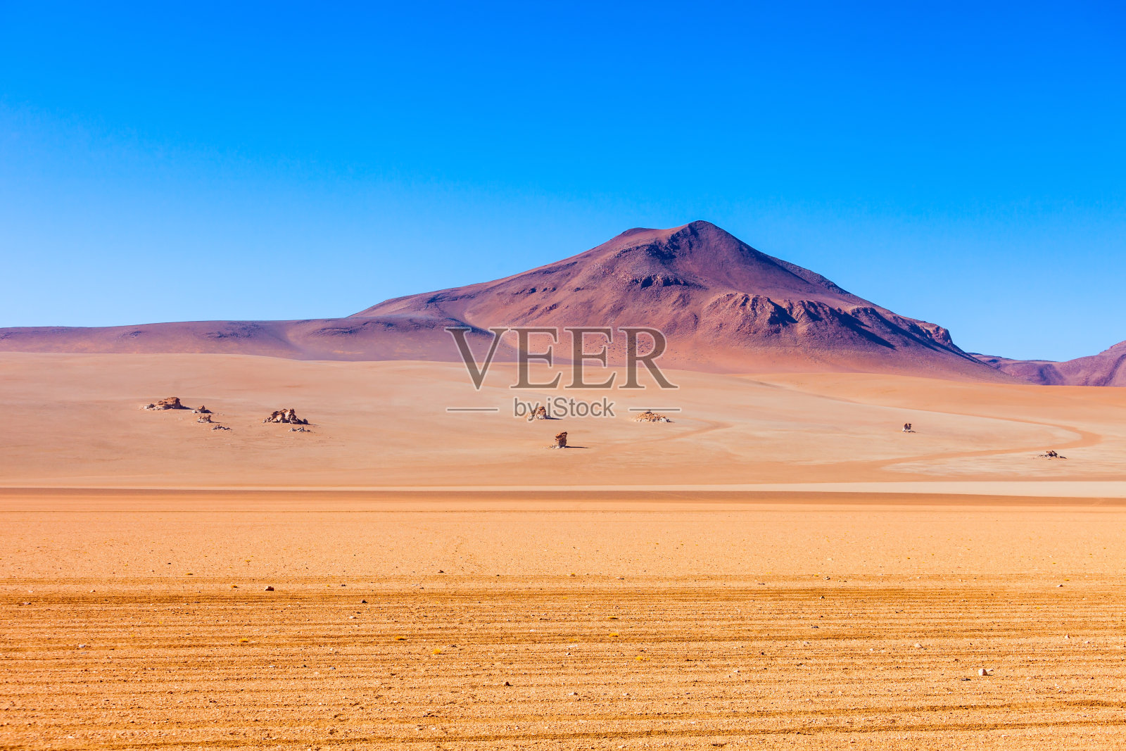 萨尔瓦多·达利沙漠照片摄影图片