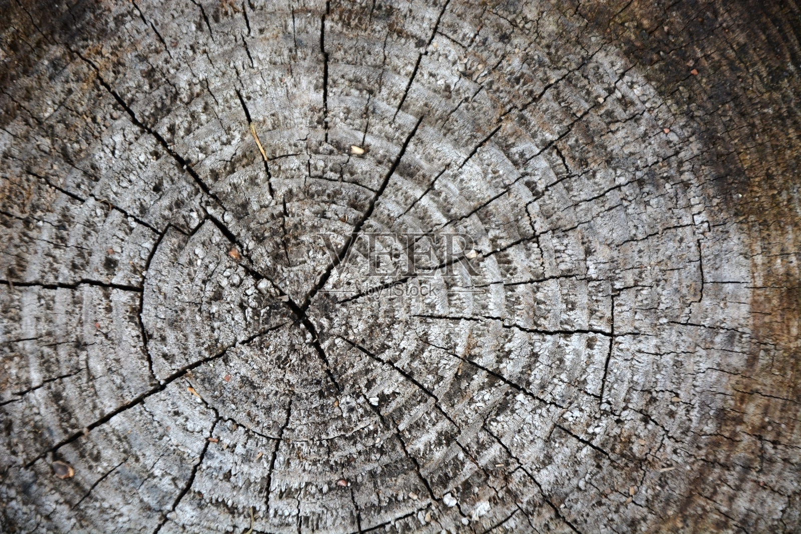 木制背景照片摄影图片