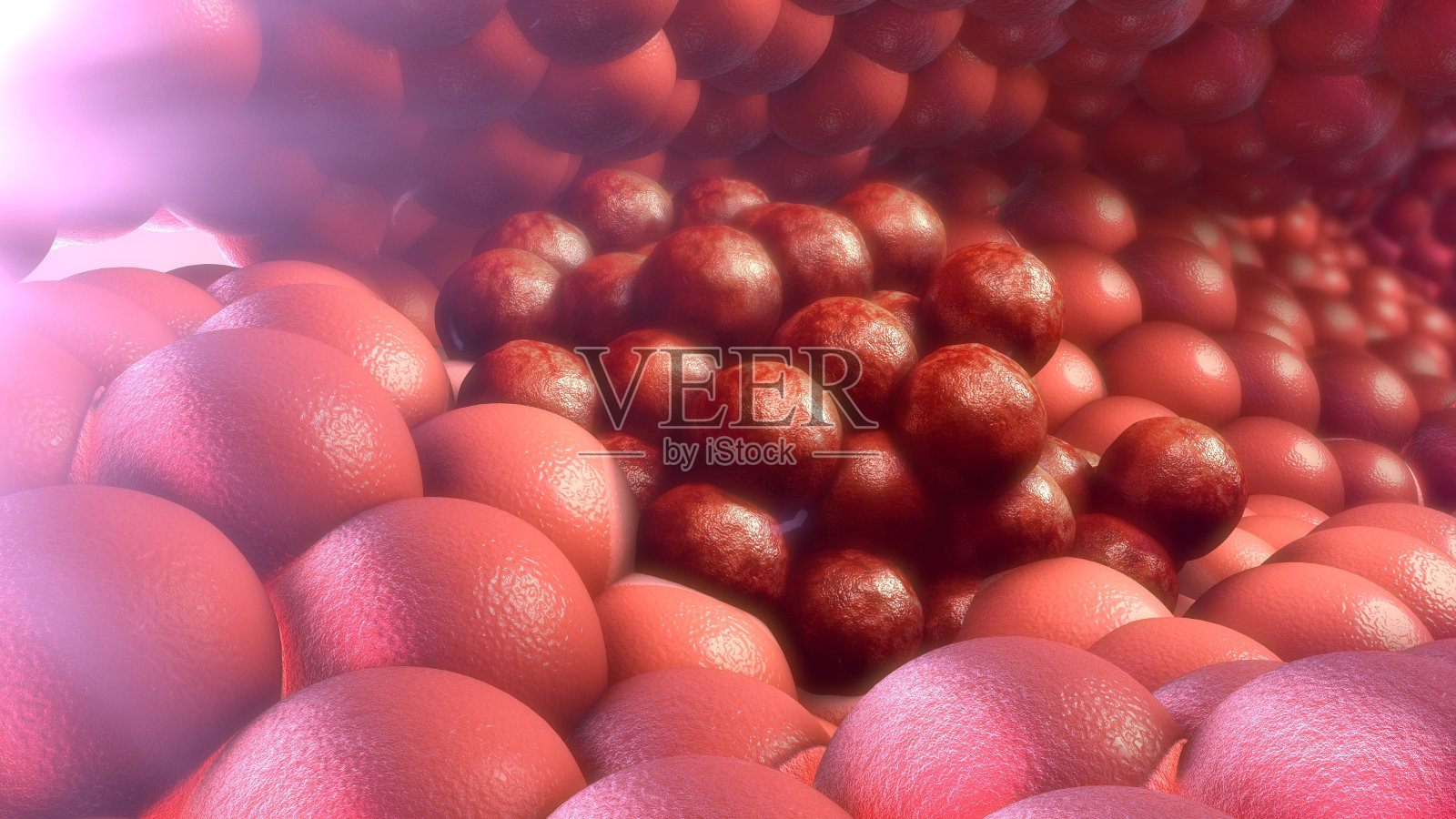 癌症细胞照片摄影图片