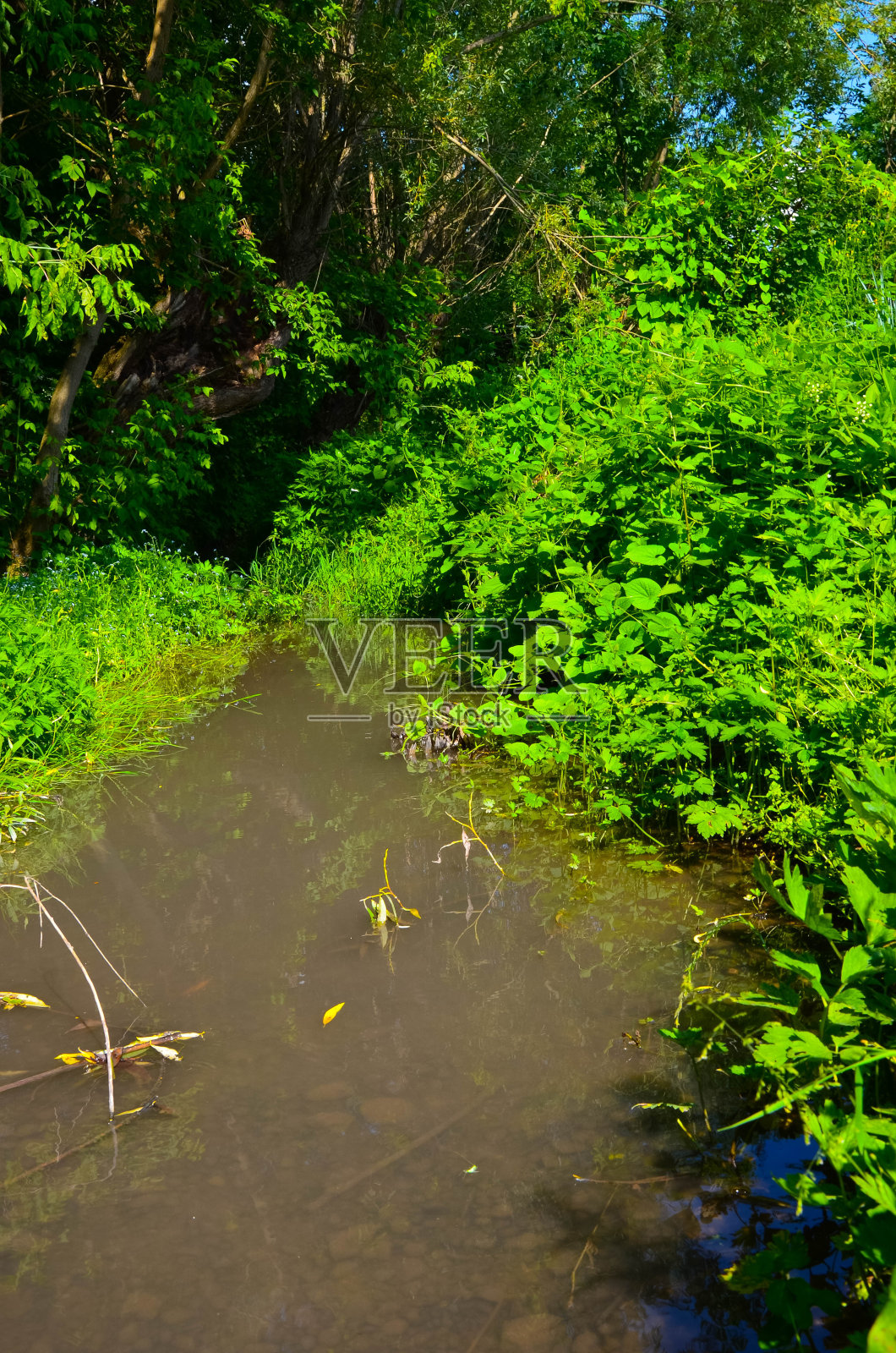 篱笆后面有树,其他植物和河流照片照片摄影图片