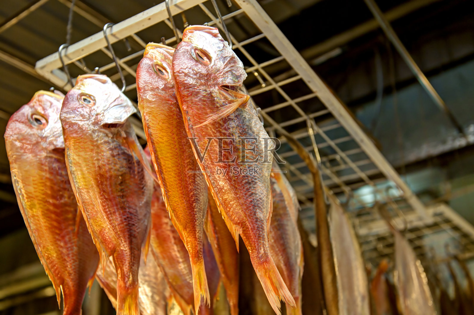 干鱼照片摄影图片