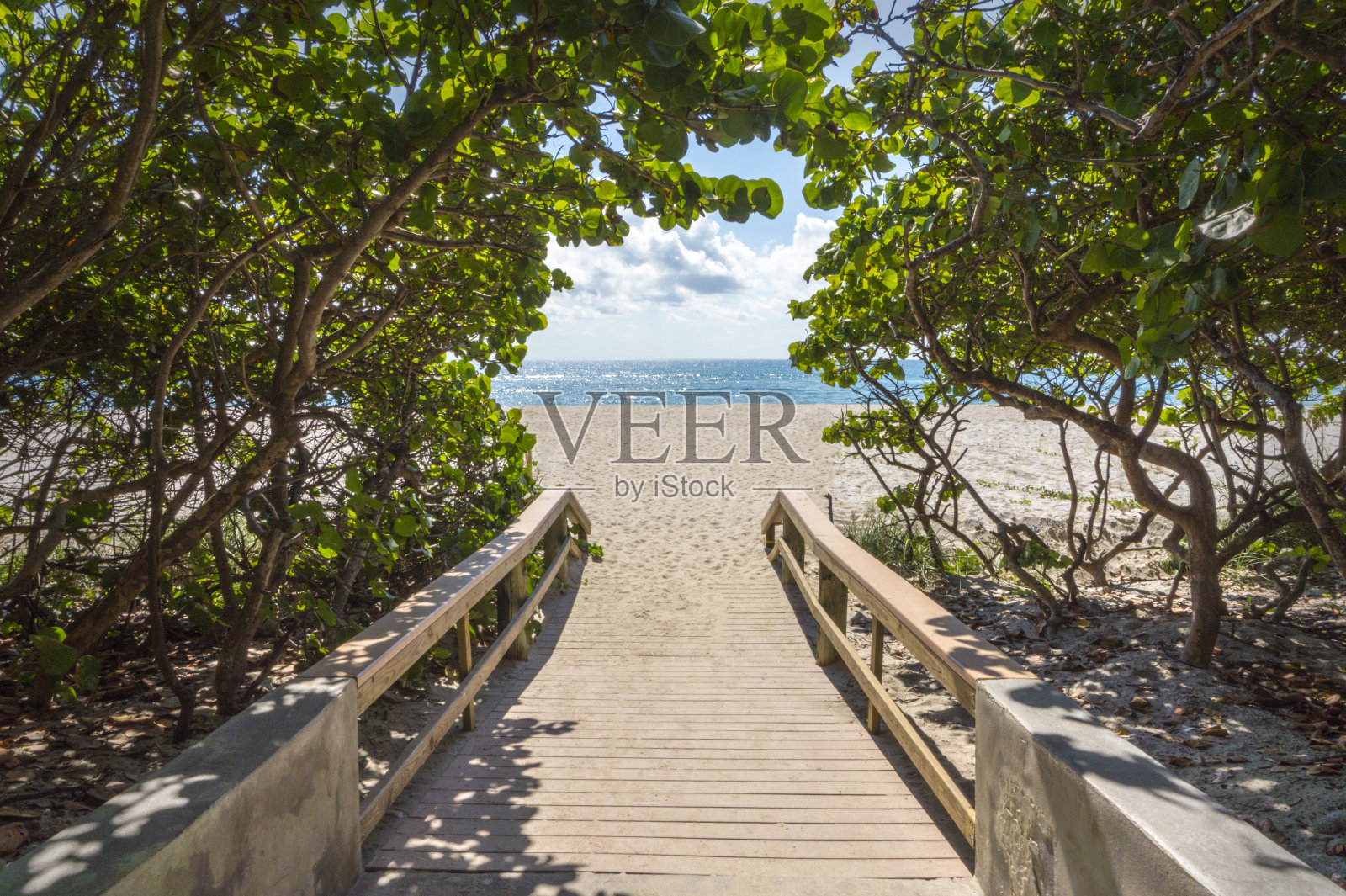 通往海滩的人行道照片摄影图片