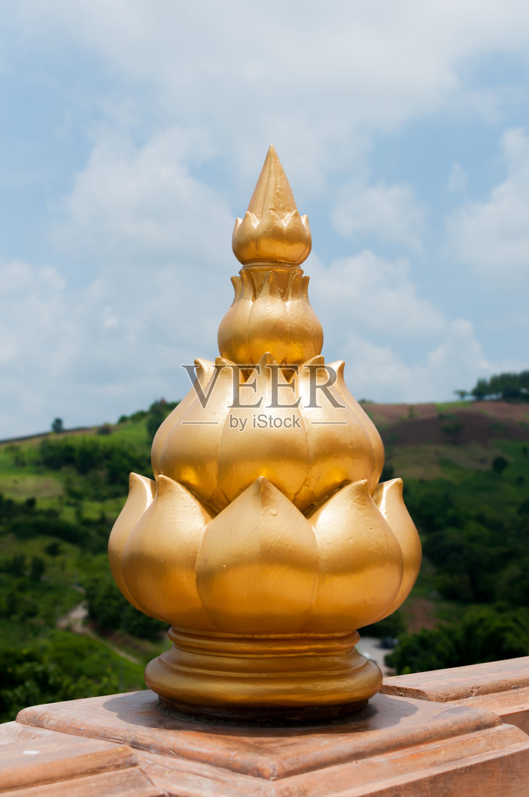 墙上的金莲装饰照片摄影图片