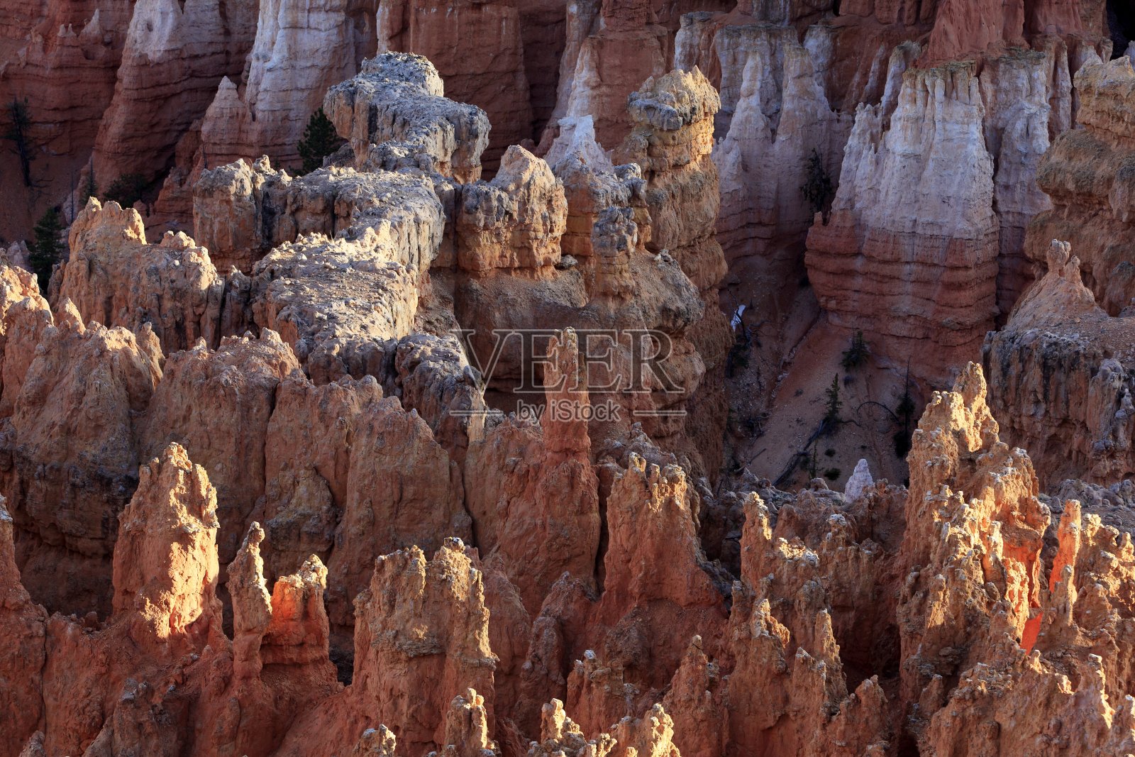 美国布莱斯峡谷美丽的岩层照片摄影图片