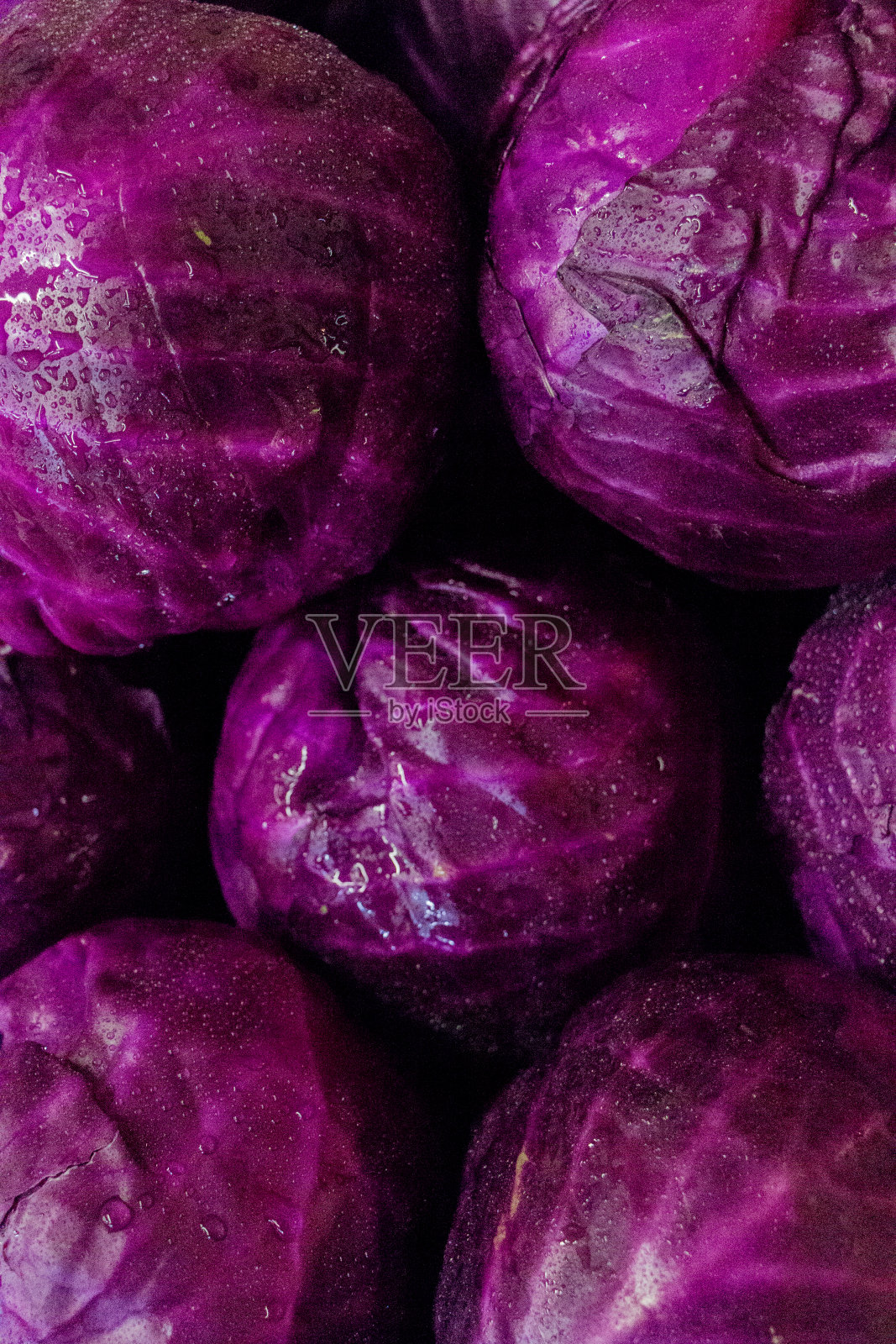 垂直堆叠的红色卷心菜图片照片摄影图片