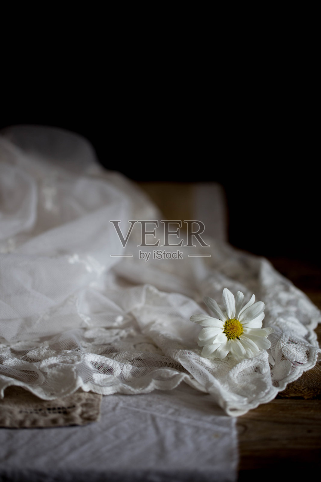 鲜花,鲜花菊花照片摄影图片