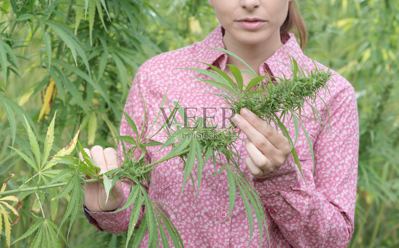 拿着大麻花的女人照片摄影图片