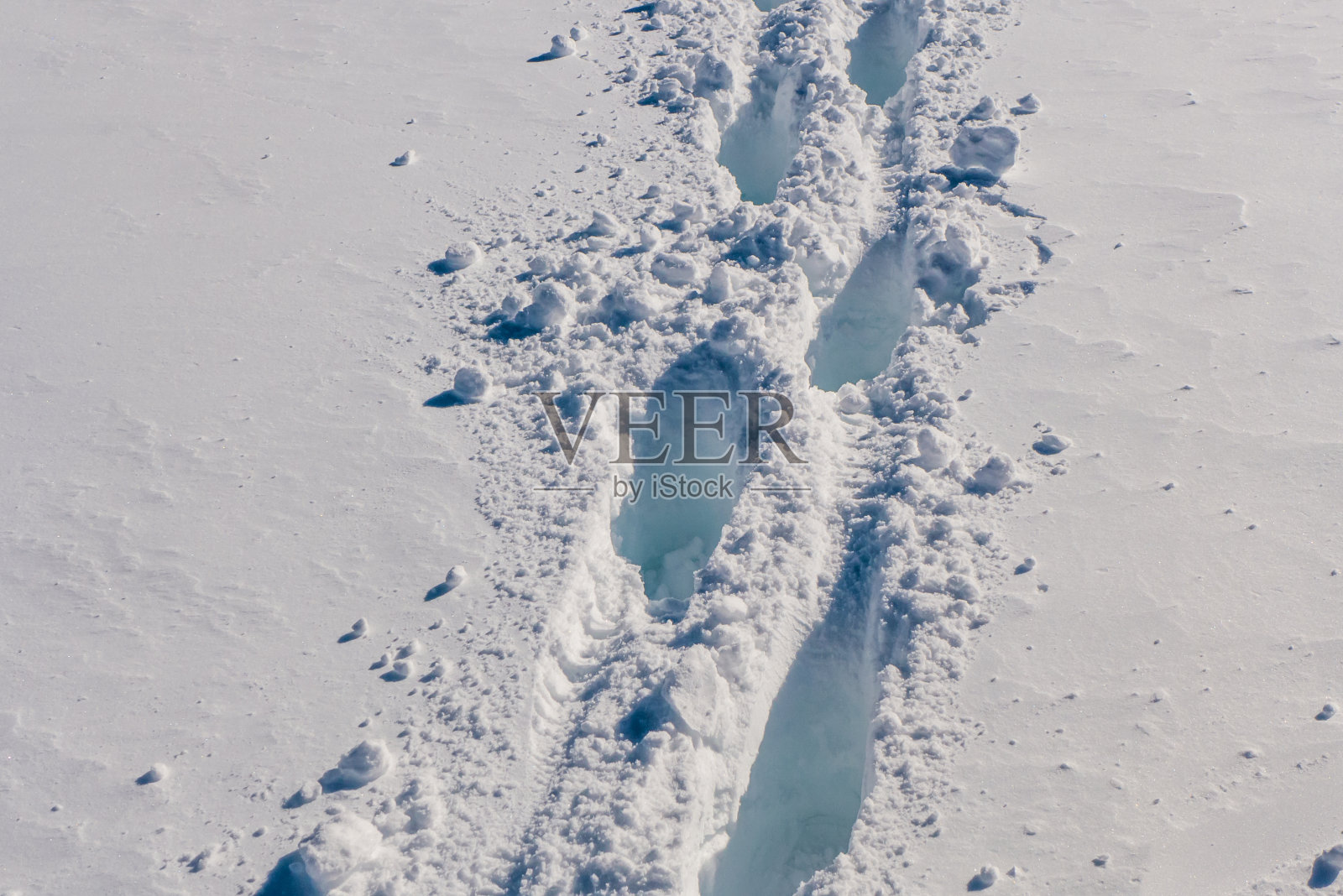 脚步在雪地照片摄影图片