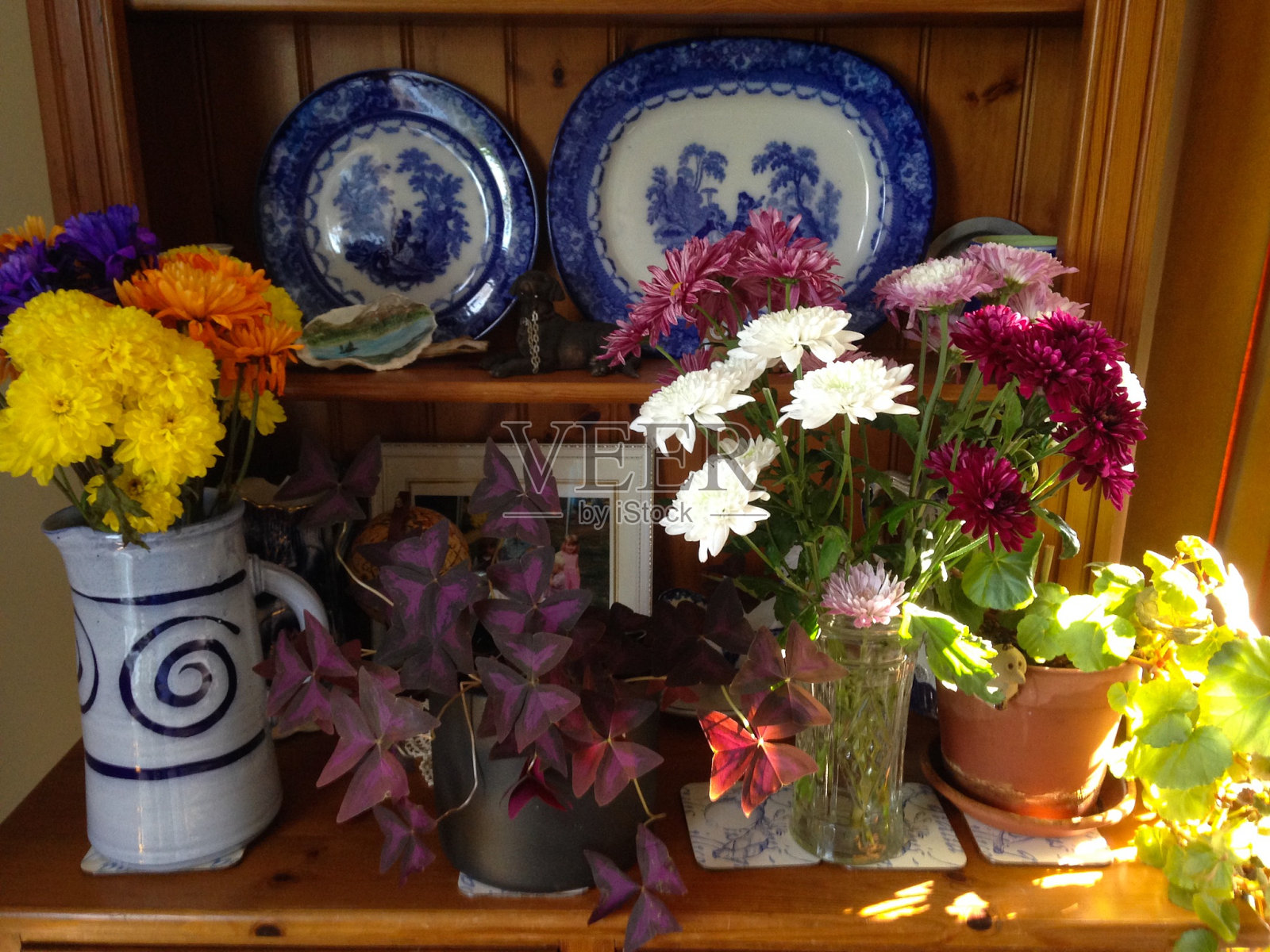 鲜花及古董盘子照片摄影图片