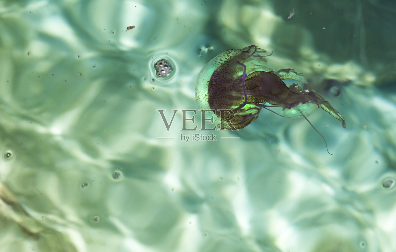 独自一人照片摄影图片