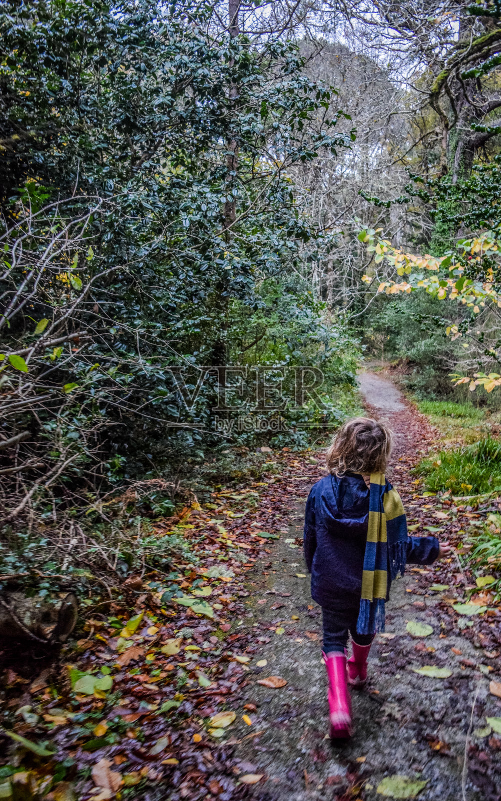 领袖照片摄影图片