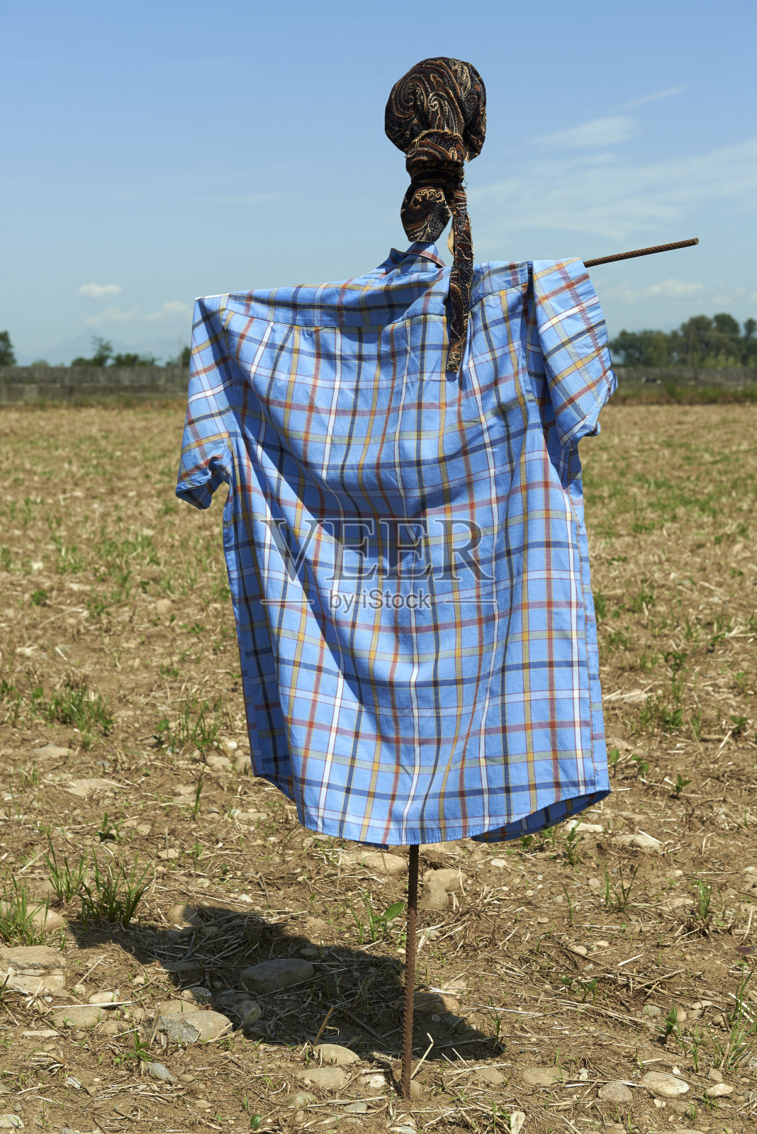稻草人照片摄影图片