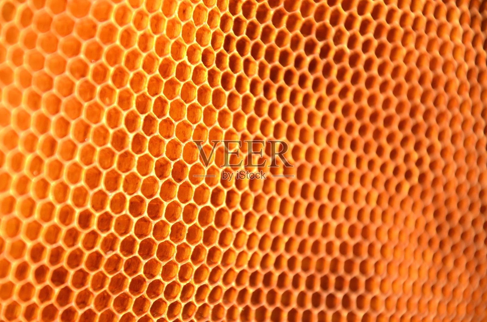 自然蜂窝照片摄影图片