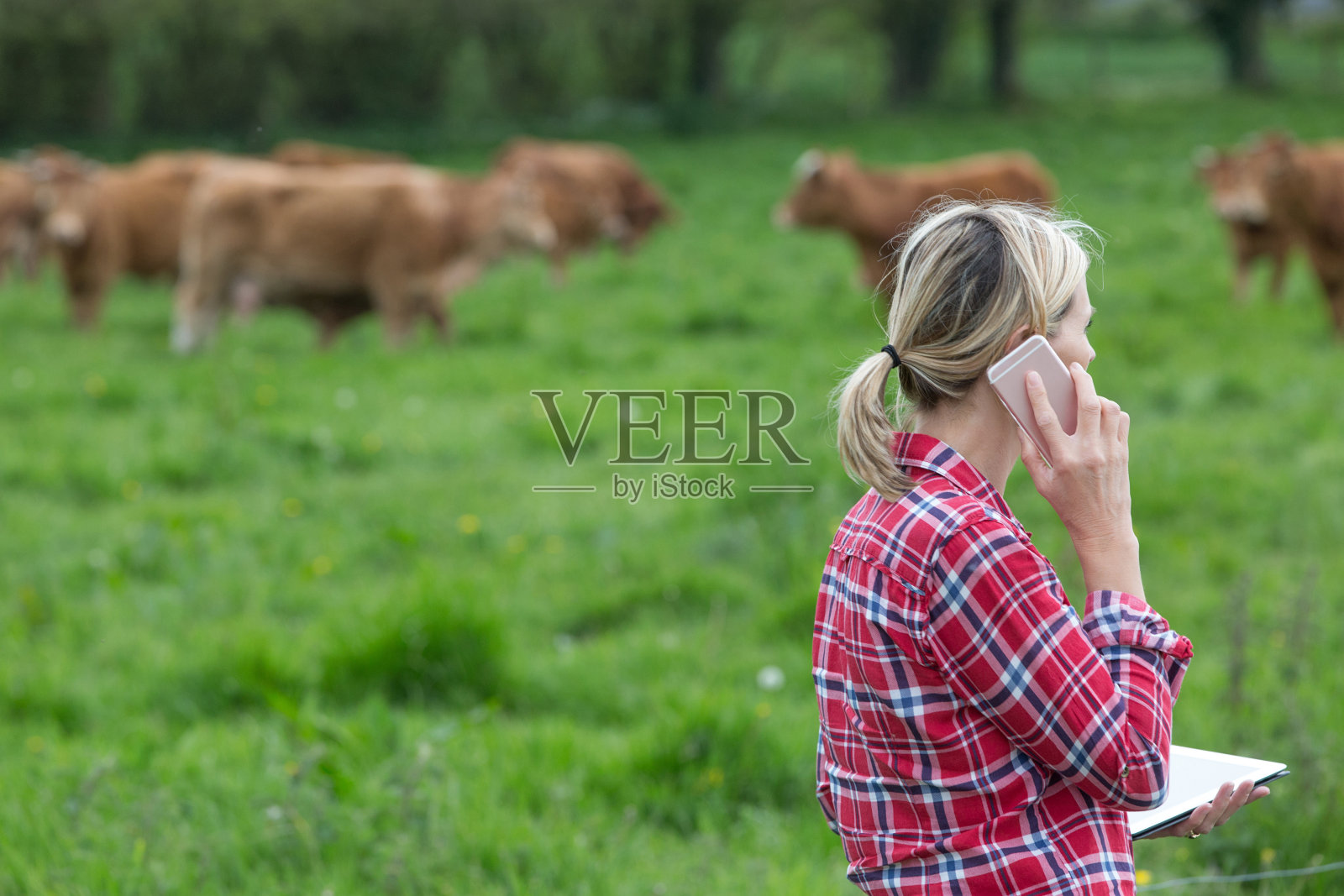 农民叫兽医照片摄影图片