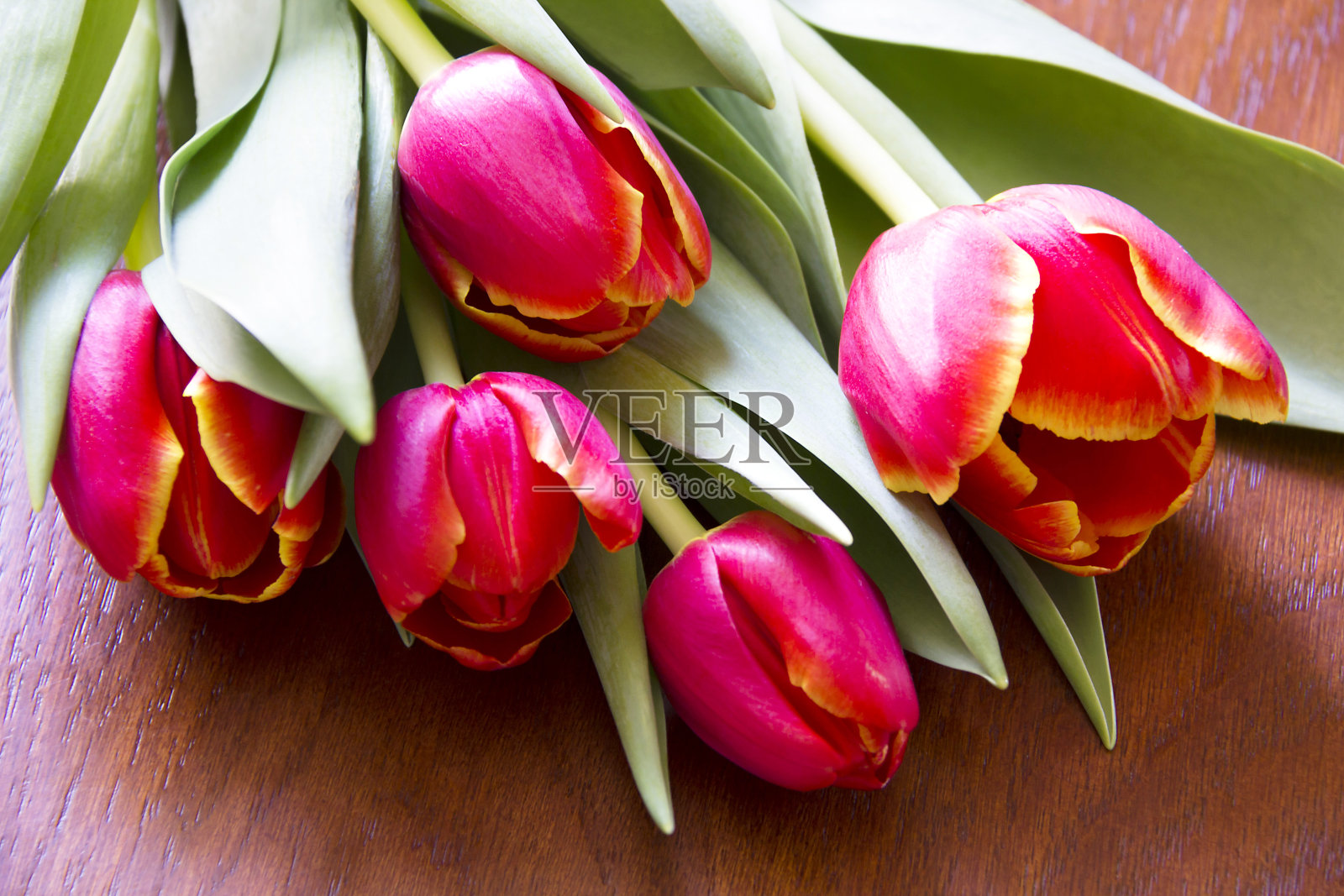 桌上放着郁金香照片摄影图片