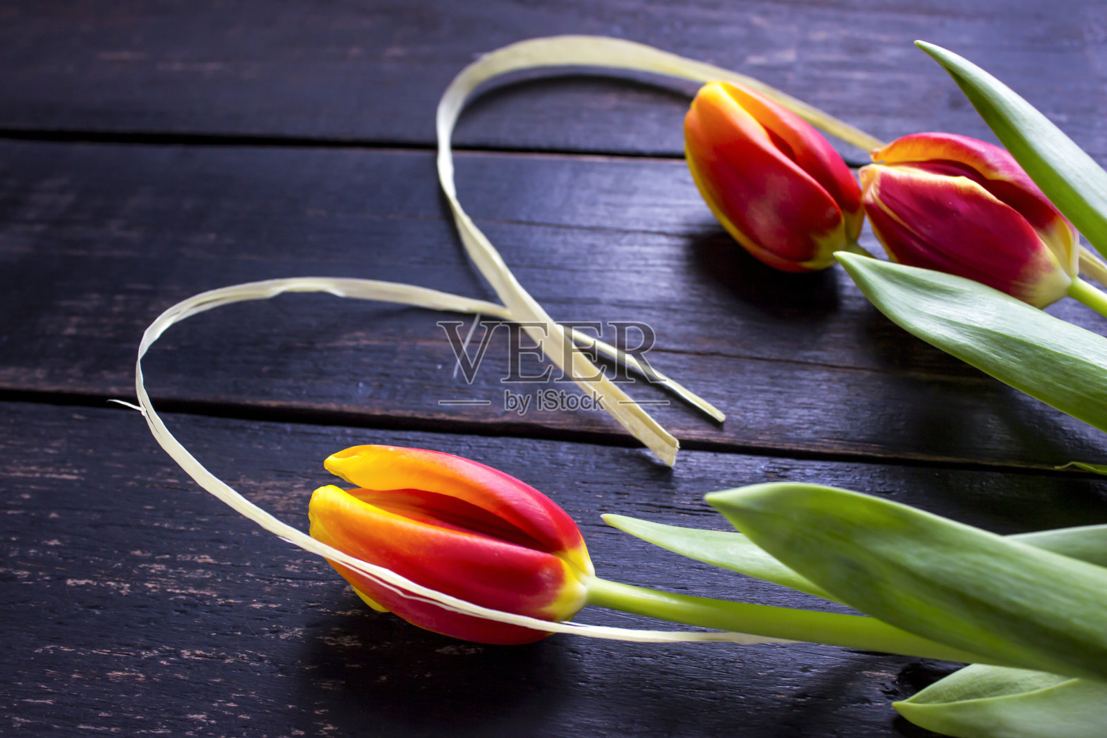 美丽的郁金香在乡村木制背景照片摄影图片